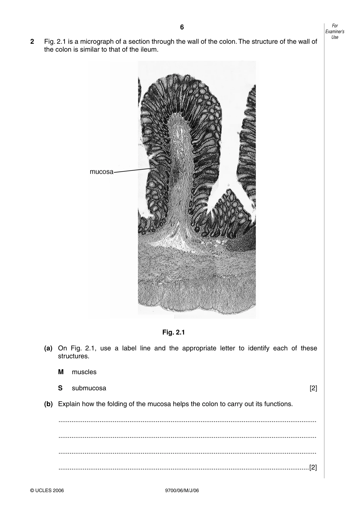 Cambridge A Level Biology 9700 2006 May/June Paper 6 · Variant 1 question paper, page 6 of 36