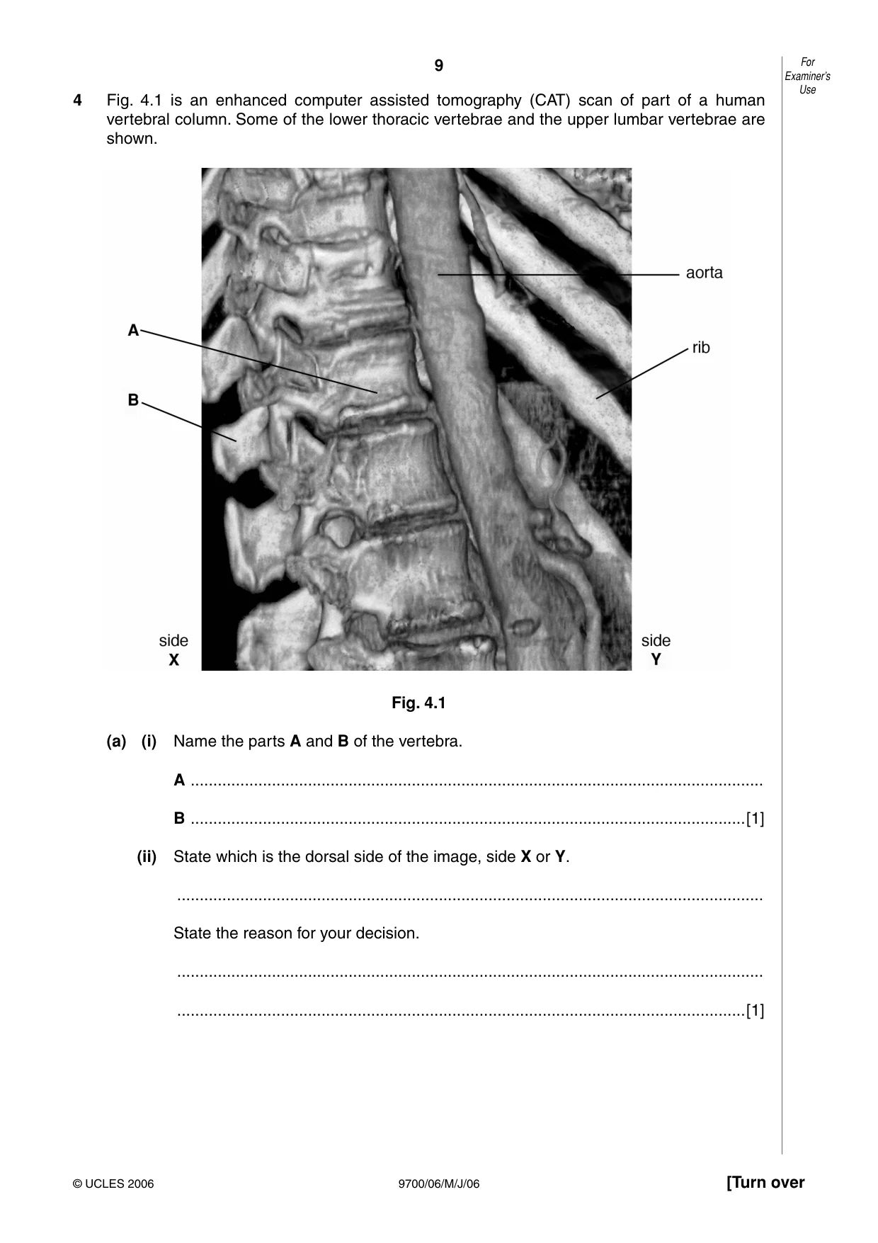 Cambridge A Level Biology 9700 2006 May/June Paper 6 · Variant 1 question paper, page 9 of 36