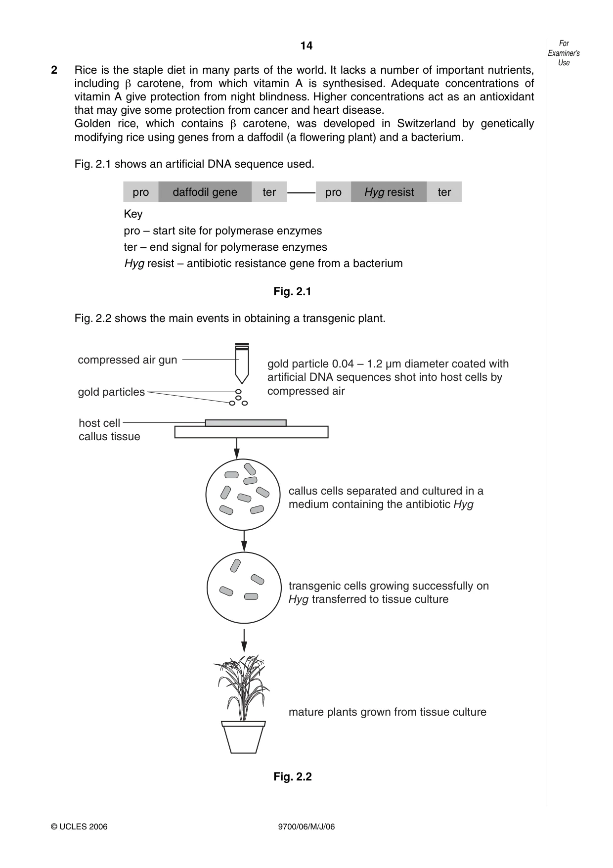 Cambridge A Level Biology 9700 2006 May/June Paper 6 · Variant 1 question paper, page 14 of 36