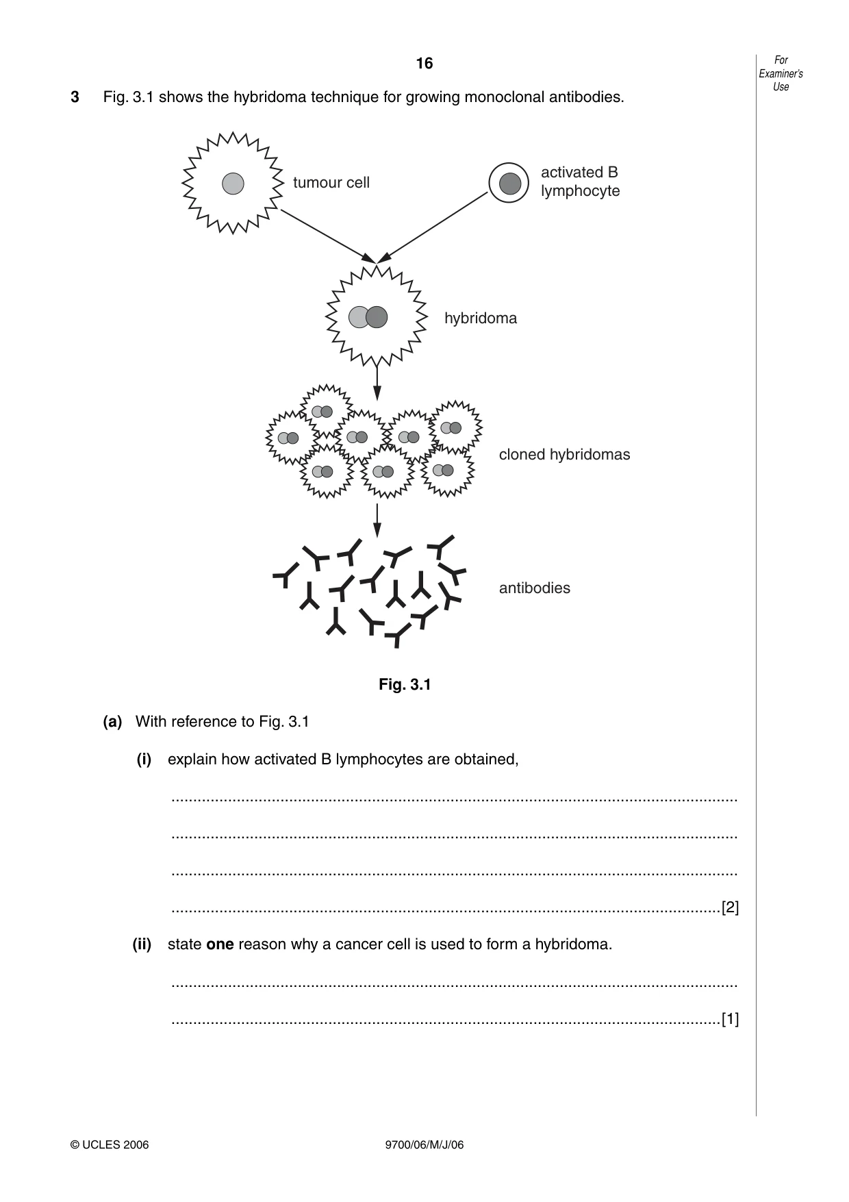Cambridge A Level Biology 9700 2006 May/June Paper 6 · Variant 1 question paper, page 16 of 36