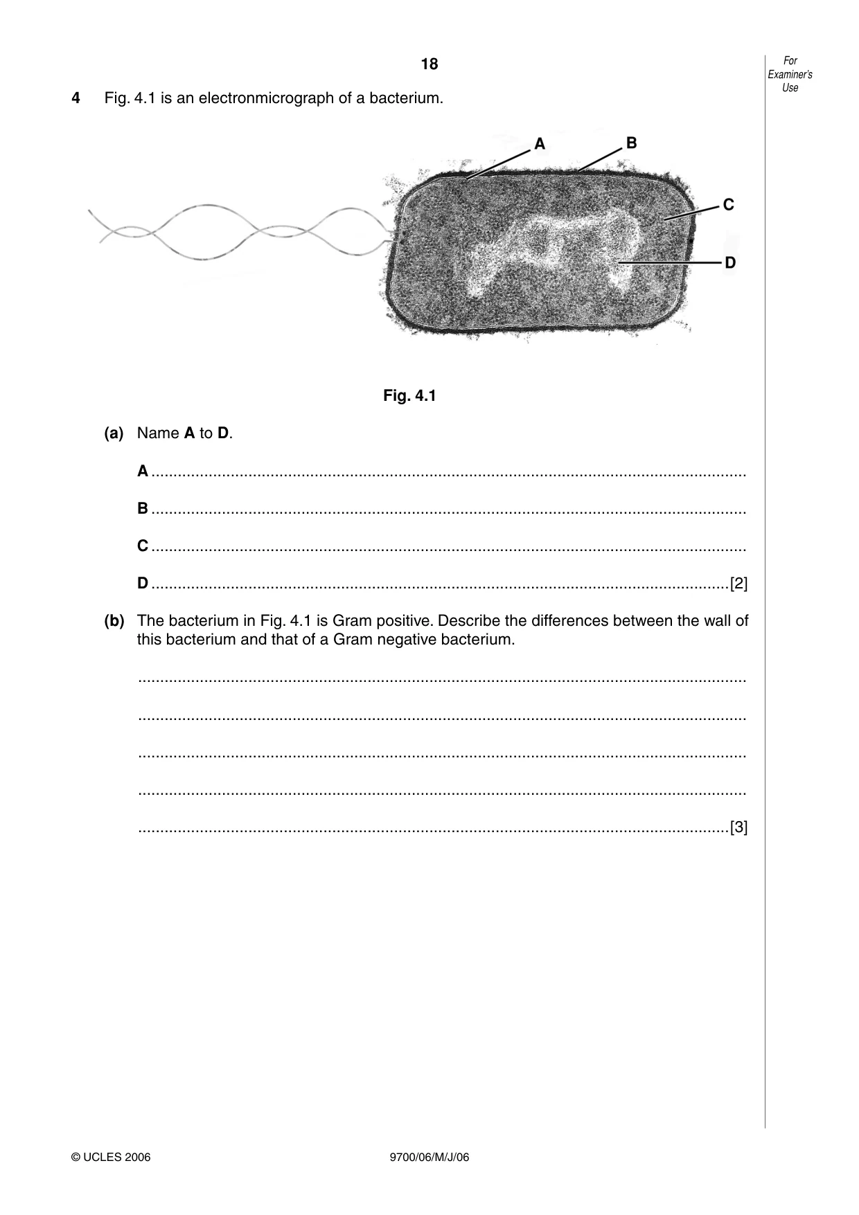 Cambridge A Level Biology 9700 2006 May/June Paper 6 · Variant 1 question paper, page 18 of 36