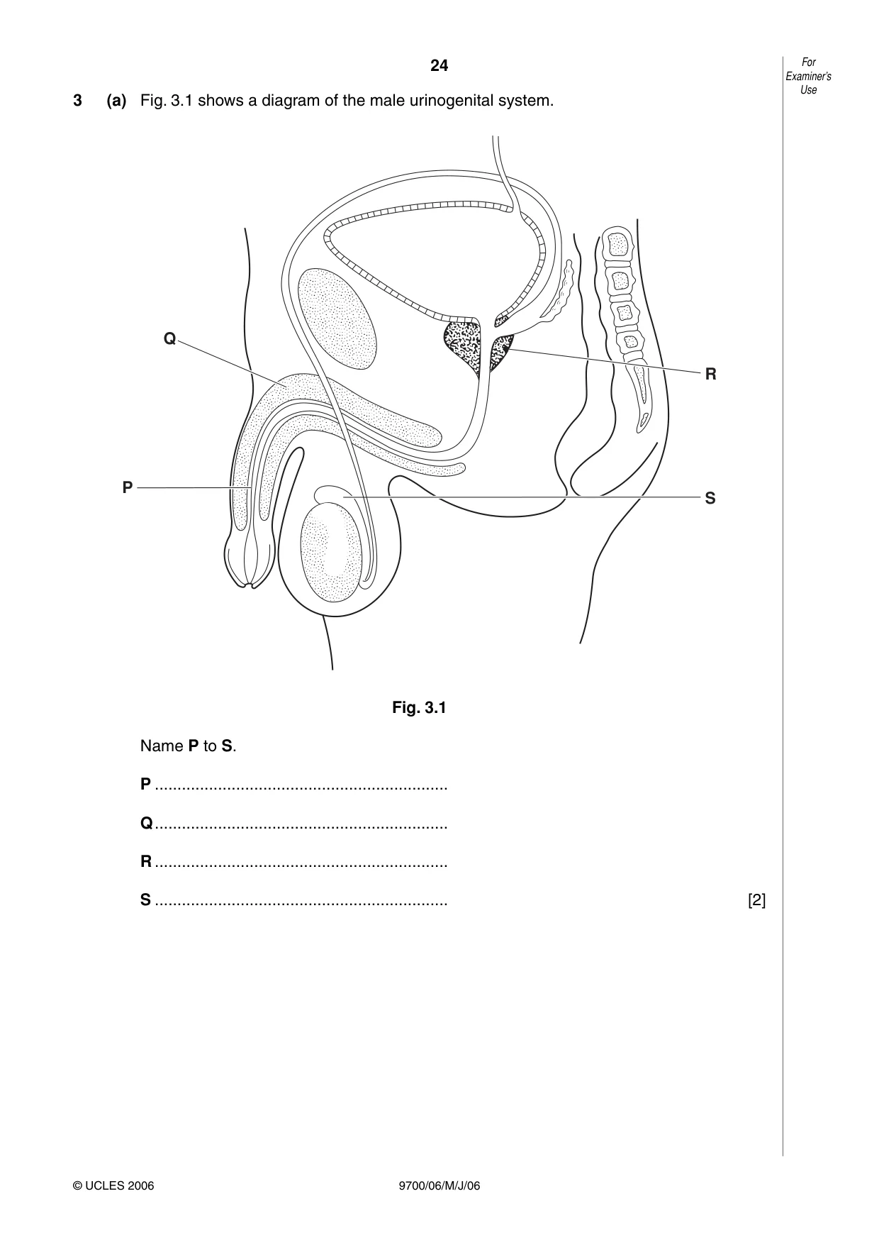 Cambridge A Level Biology 9700 2006 May/June Paper 6 · Variant 1 question paper, page 24 of 36