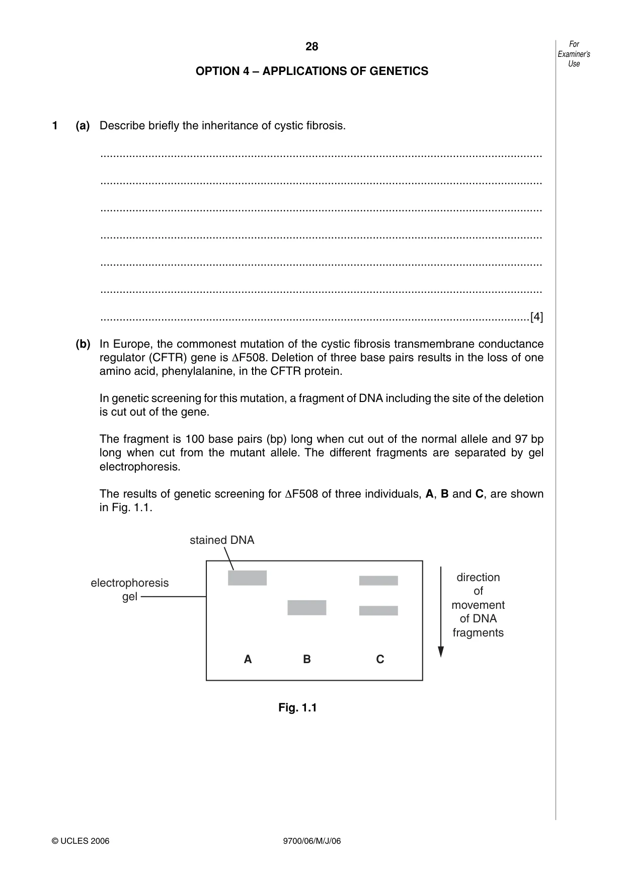 Cambridge A Level Biology 9700 2006 May/June Paper 6 · Variant 1 question paper, page 28 of 36