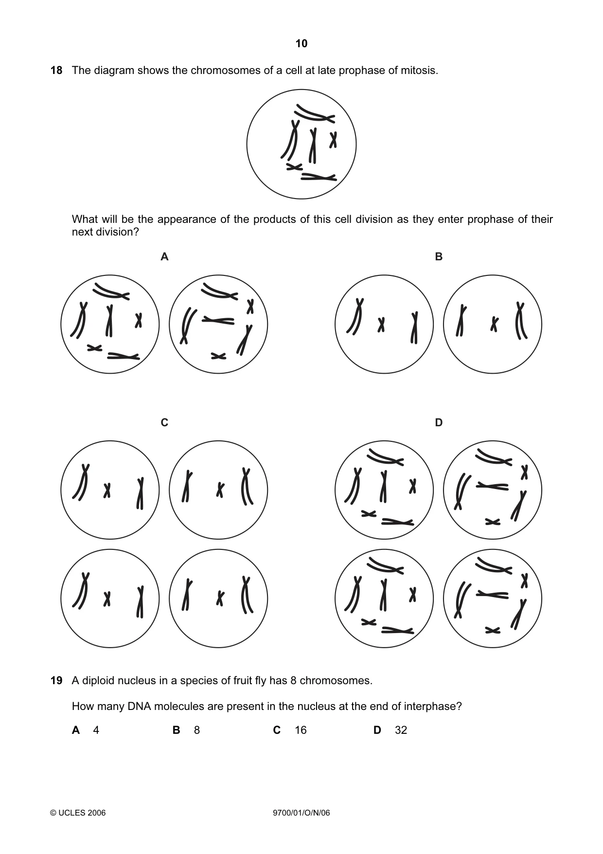 Cambridge A Level Biology 9700 2006 Oct/Nov Paper 1 · Variant 1 question paper, page 10 of 20