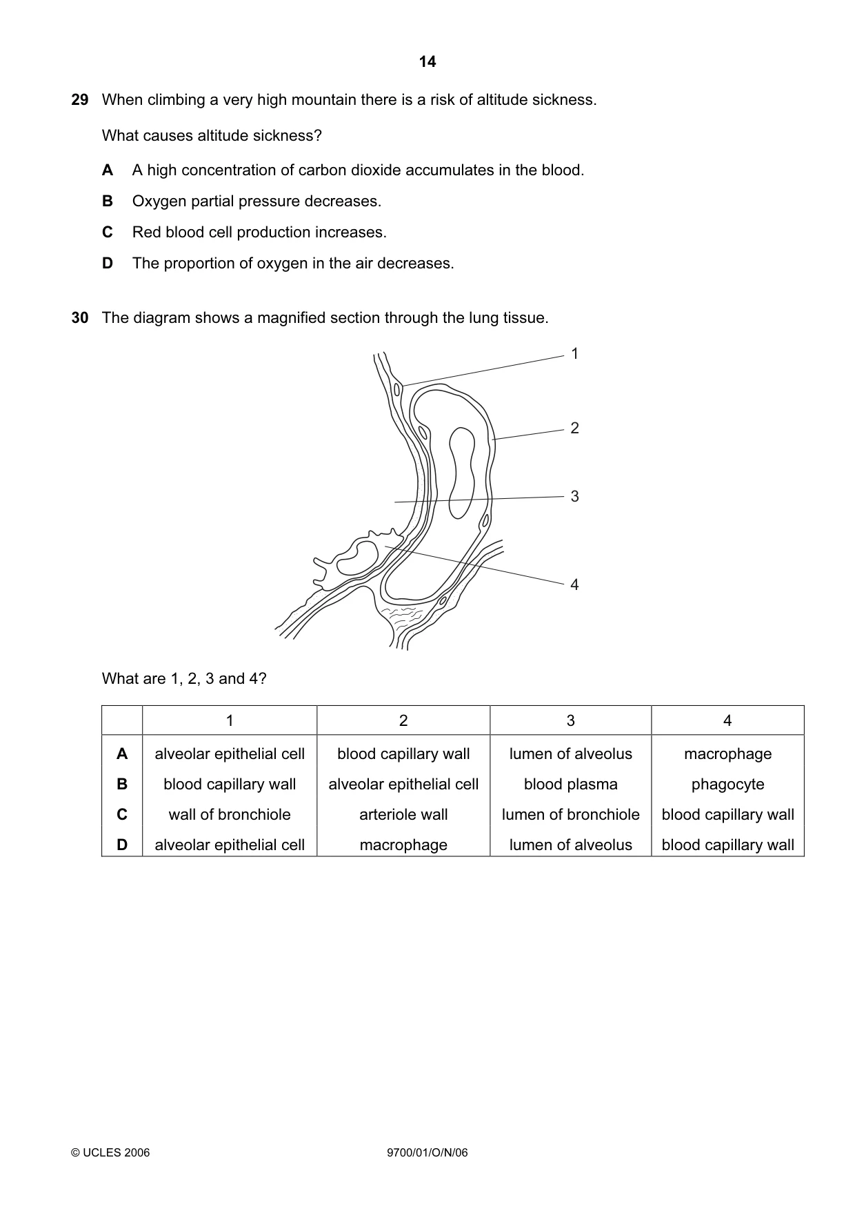 Cambridge A Level Biology 9700 2006 Oct/Nov Paper 1 · Variant 1 question paper, page 14 of 20