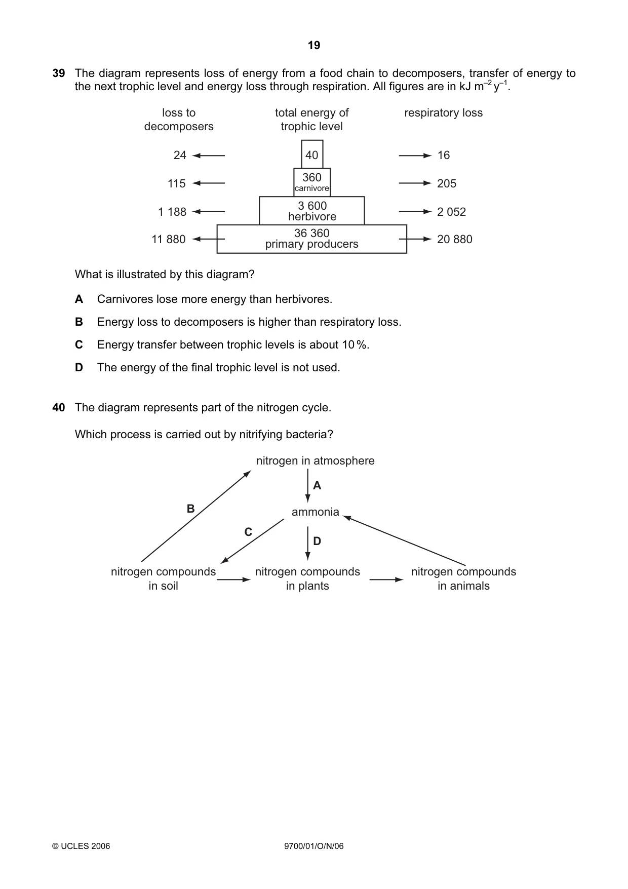 Cambridge A Level Biology 9700 2006 Oct/Nov Paper 1 · Variant 1 question paper, page 19 of 20