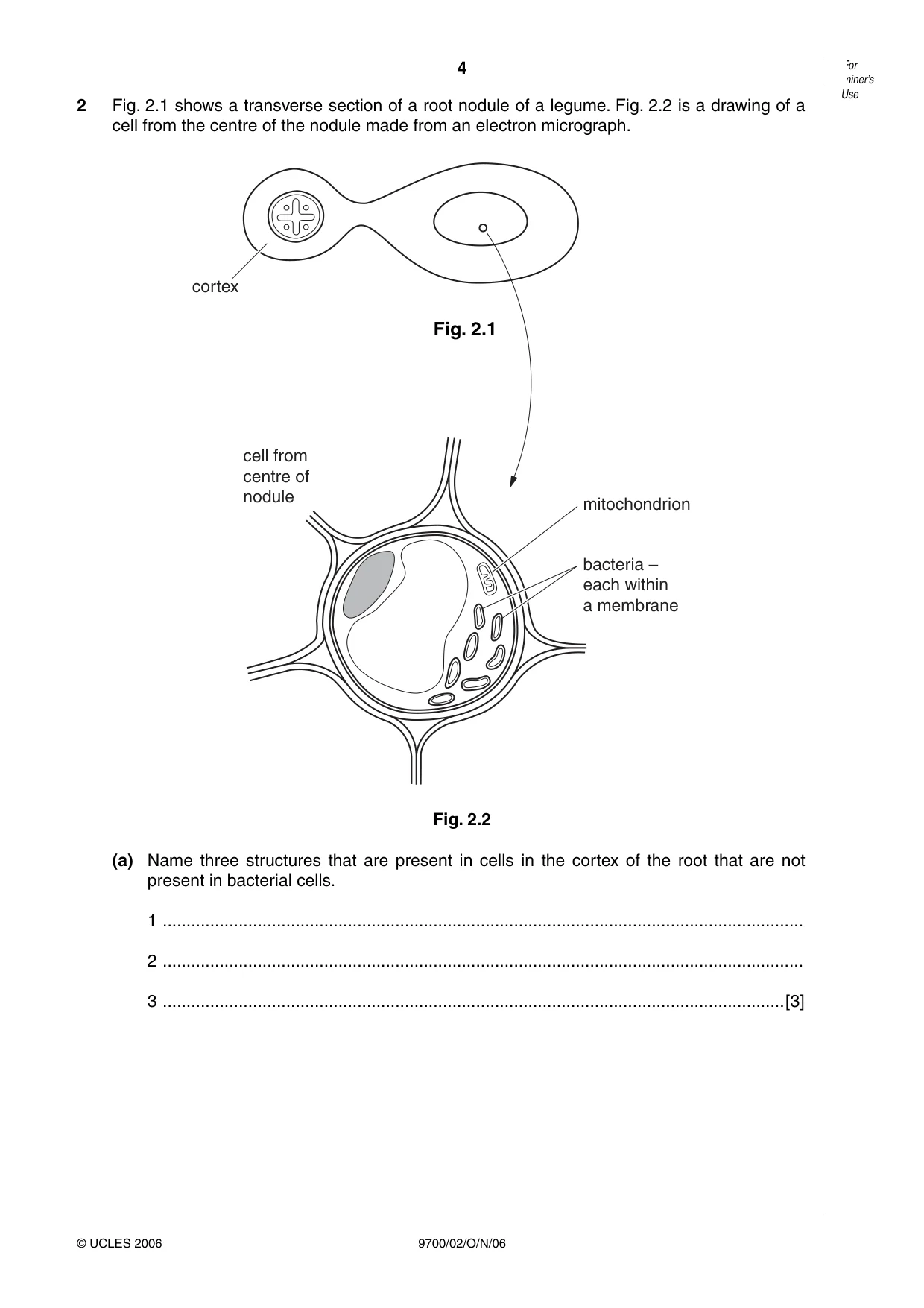 Cambridge A Level Biology 9700 2006 Oct/Nov Paper 2 · Variant 1 question paper, page 4 of 16