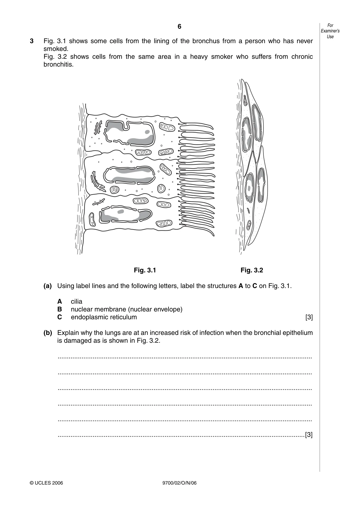 Cambridge A Level Biology 9700 2006 Oct/Nov Paper 2 · Variant 1 question paper, page 6 of 16