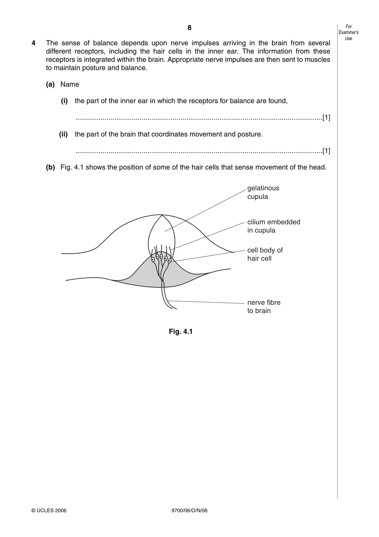 Cambridge A Level Biology 9700 2006 Oct/Nov Paper 6 · Variant 1 question paper, page 8 of 36