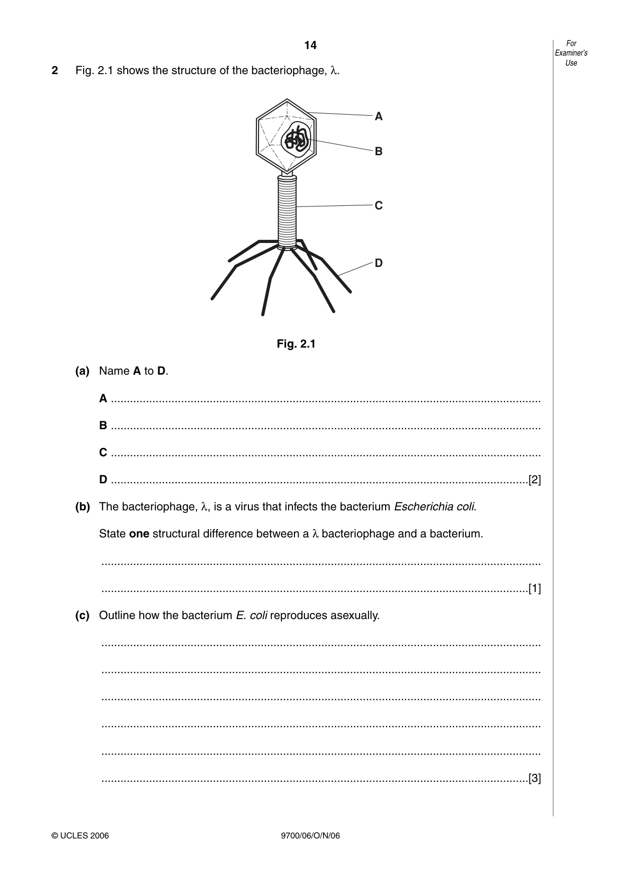 Cambridge A Level Biology 9700 2006 Oct/Nov Paper 6 · Variant 1 question paper, page 14 of 36