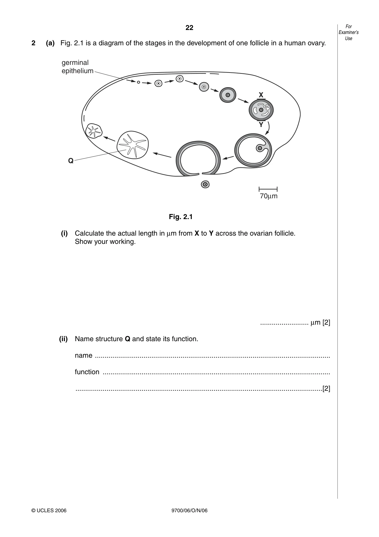 Cambridge A Level Biology 9700 2006 Oct/Nov Paper 6 · Variant 1 question paper, page 22 of 36