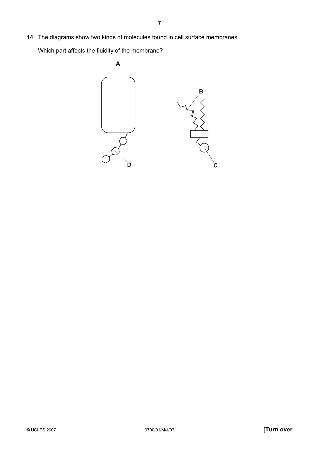Cambridge A Level Biology 9700 2007 May/June Paper 1 · Variant 1 question paper, page 7 of 20