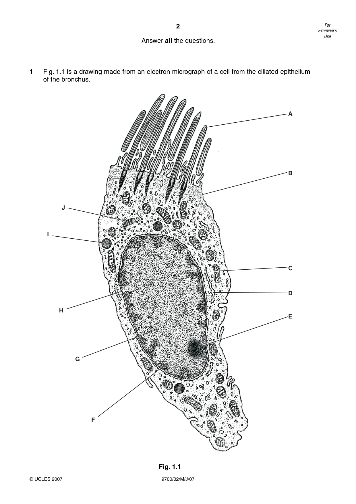 Cambridge A Level Biology 9700 2007 May/June Paper 2 · Variant 1 question paper, page 2 of 16