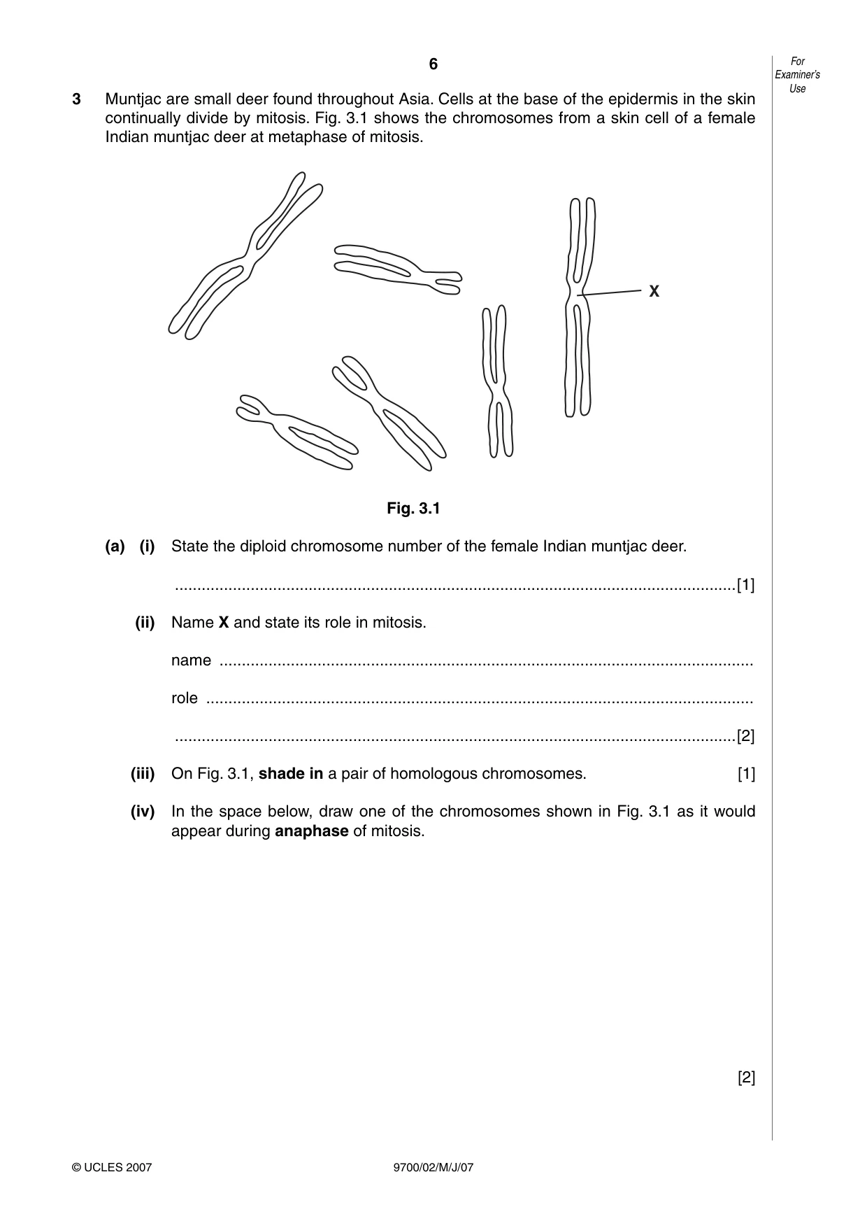 Cambridge A Level Biology 9700 2007 May/June Paper 2 · Variant 1 question paper, page 6 of 16