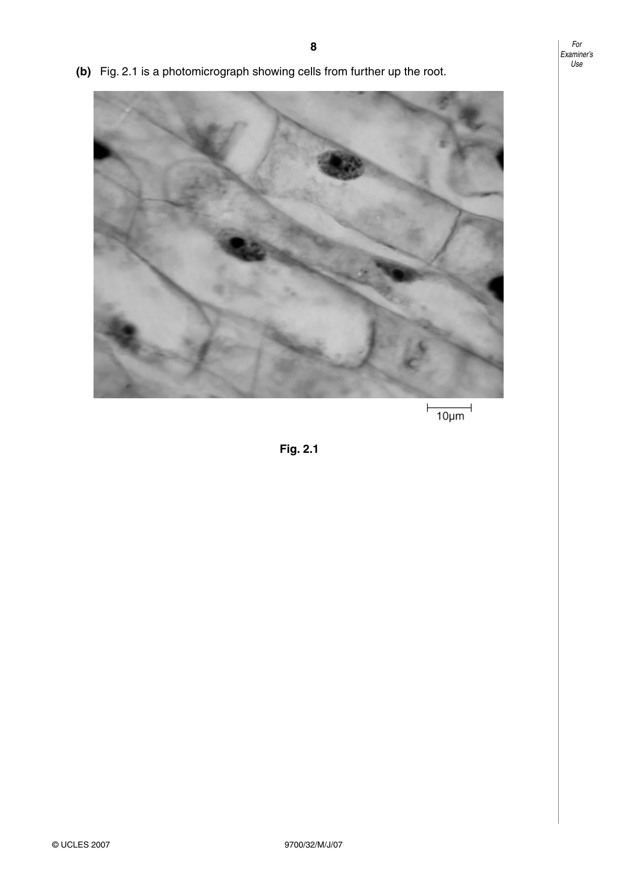 Cambridge A Level Biology 9700 2007 May/June Paper 3 · Variant 2 question paper, page 8 of 12