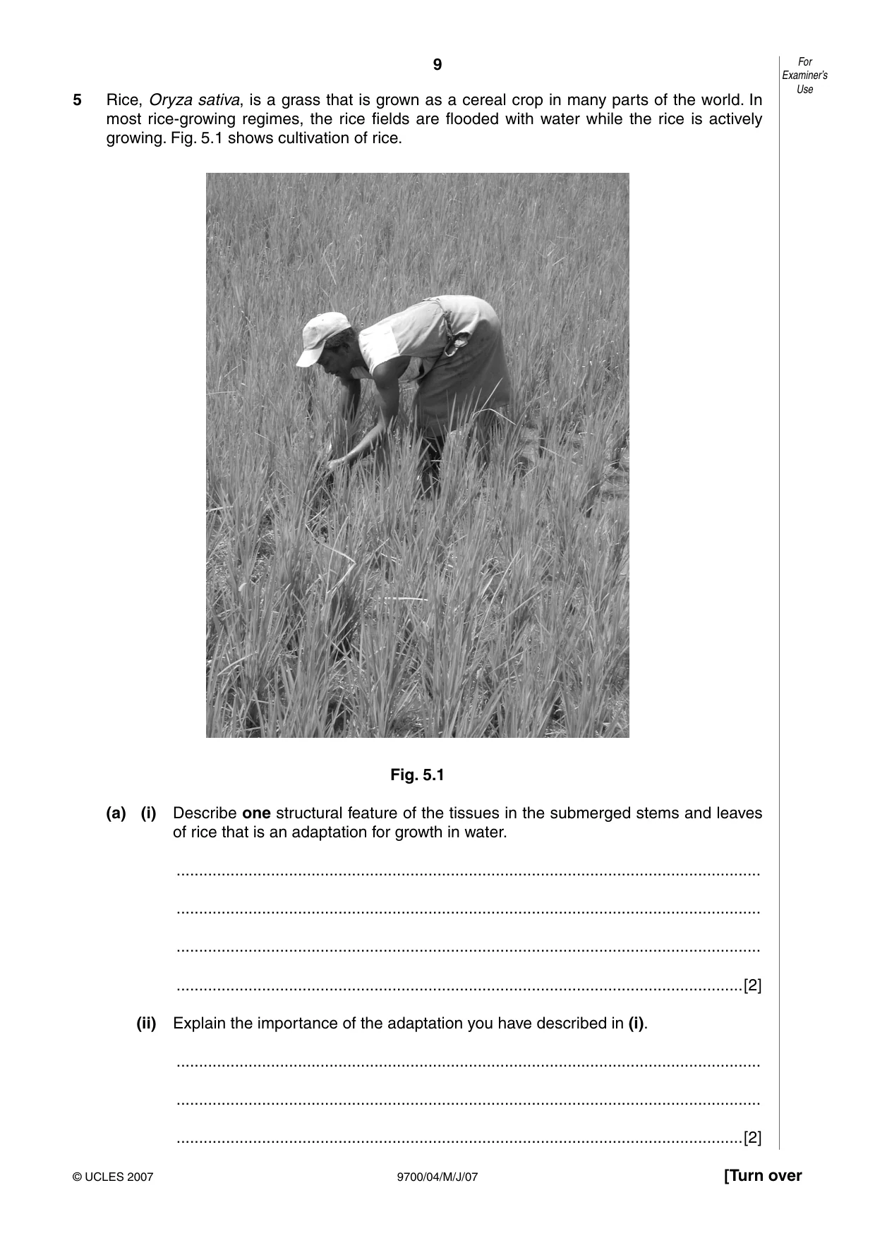 Cambridge A Level Biology 9700 2007 May/June Paper 4 · Variant 1 question paper, page 9 of 24