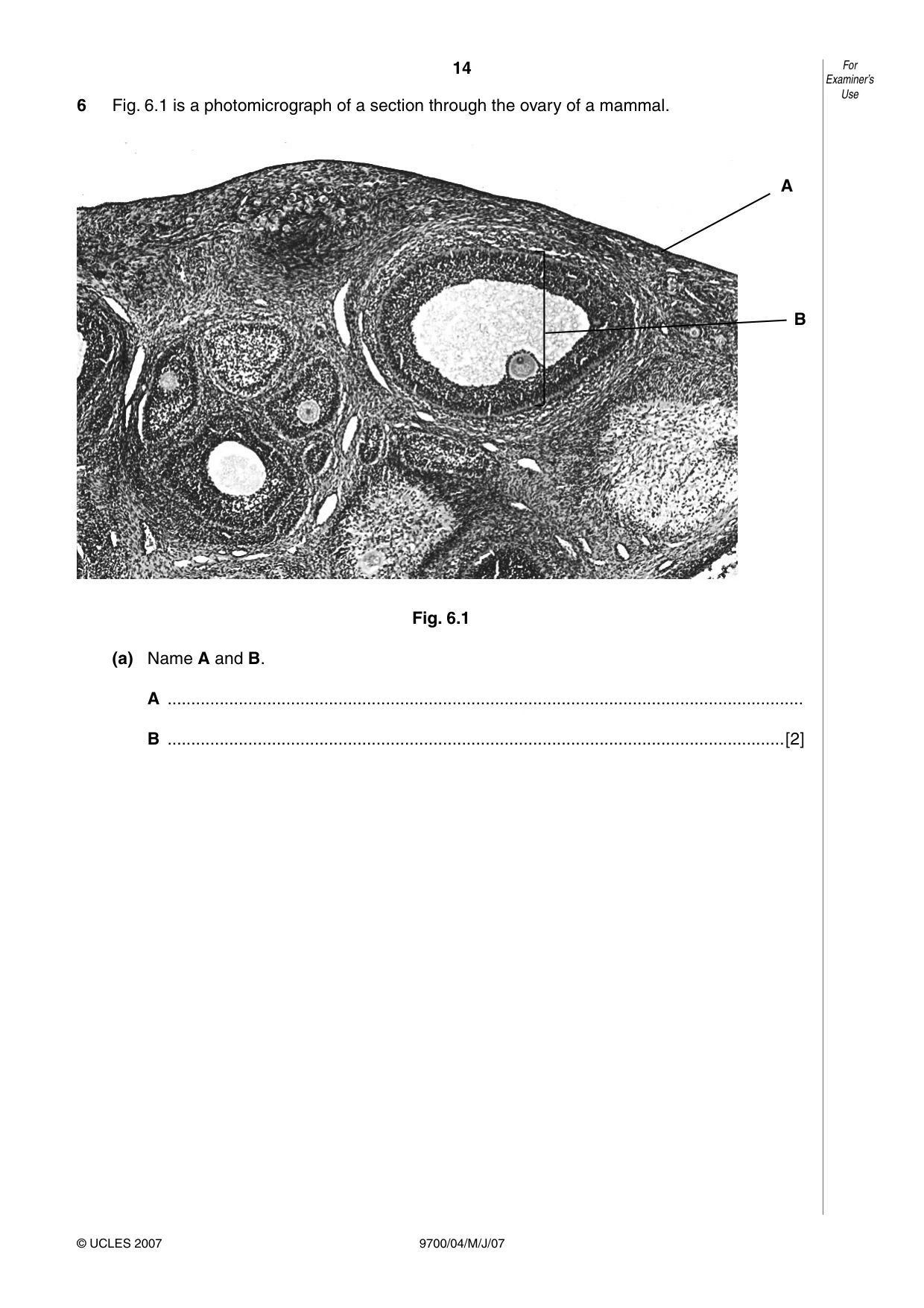 Cambridge A Level Biology 9700 2007 May/June Paper 4 · Variant 1 question paper, page 14 of 24