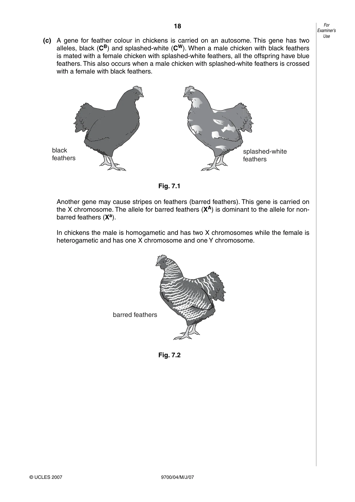 Cambridge A Level Biology 9700 2007 May/June Paper 4 · Variant 1 question paper, page 18 of 24