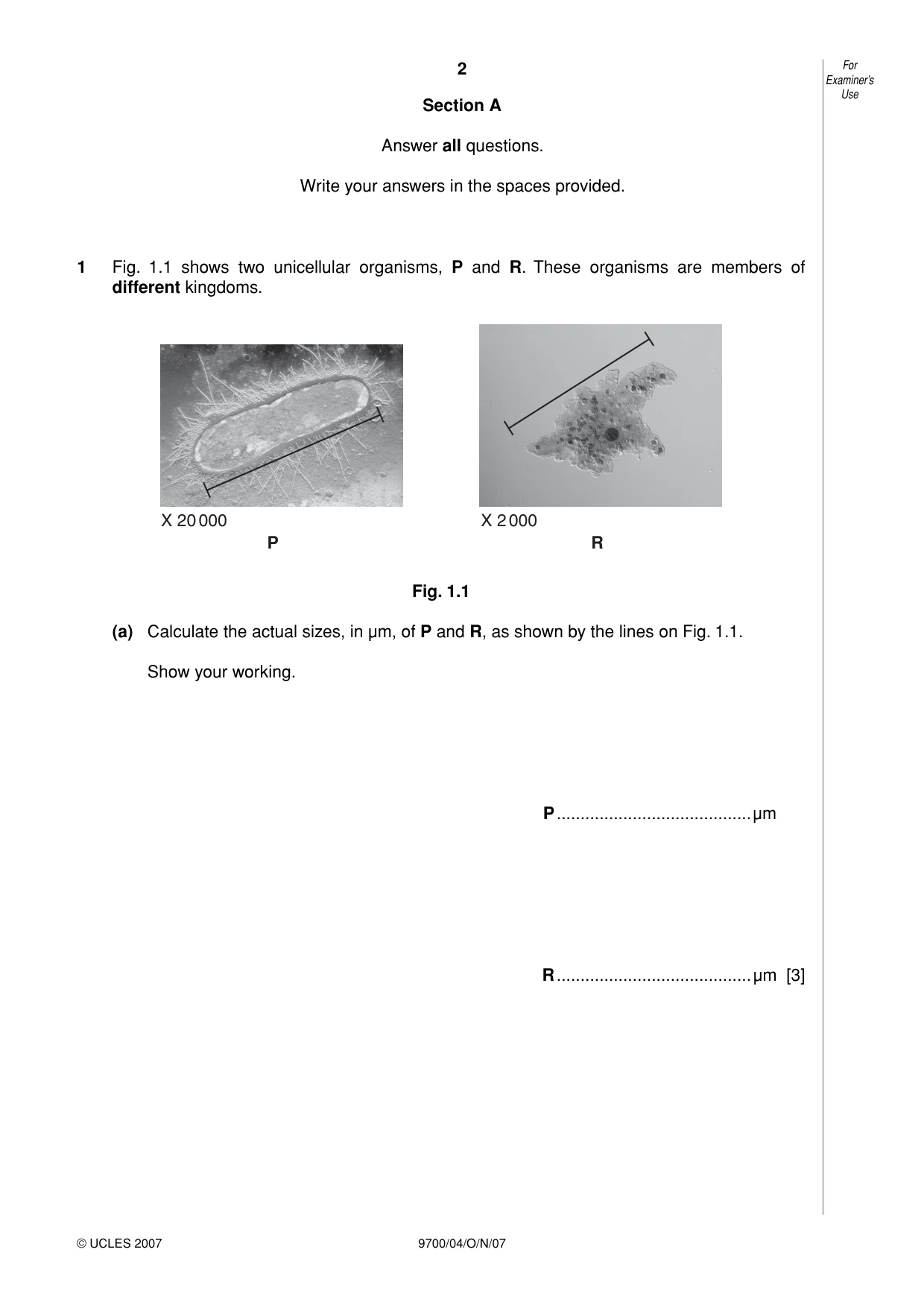 Cambridge A Level Biology 9700 2007 Oct/Nov Paper 4 · Variant 1 question paper, page 2 of 24
