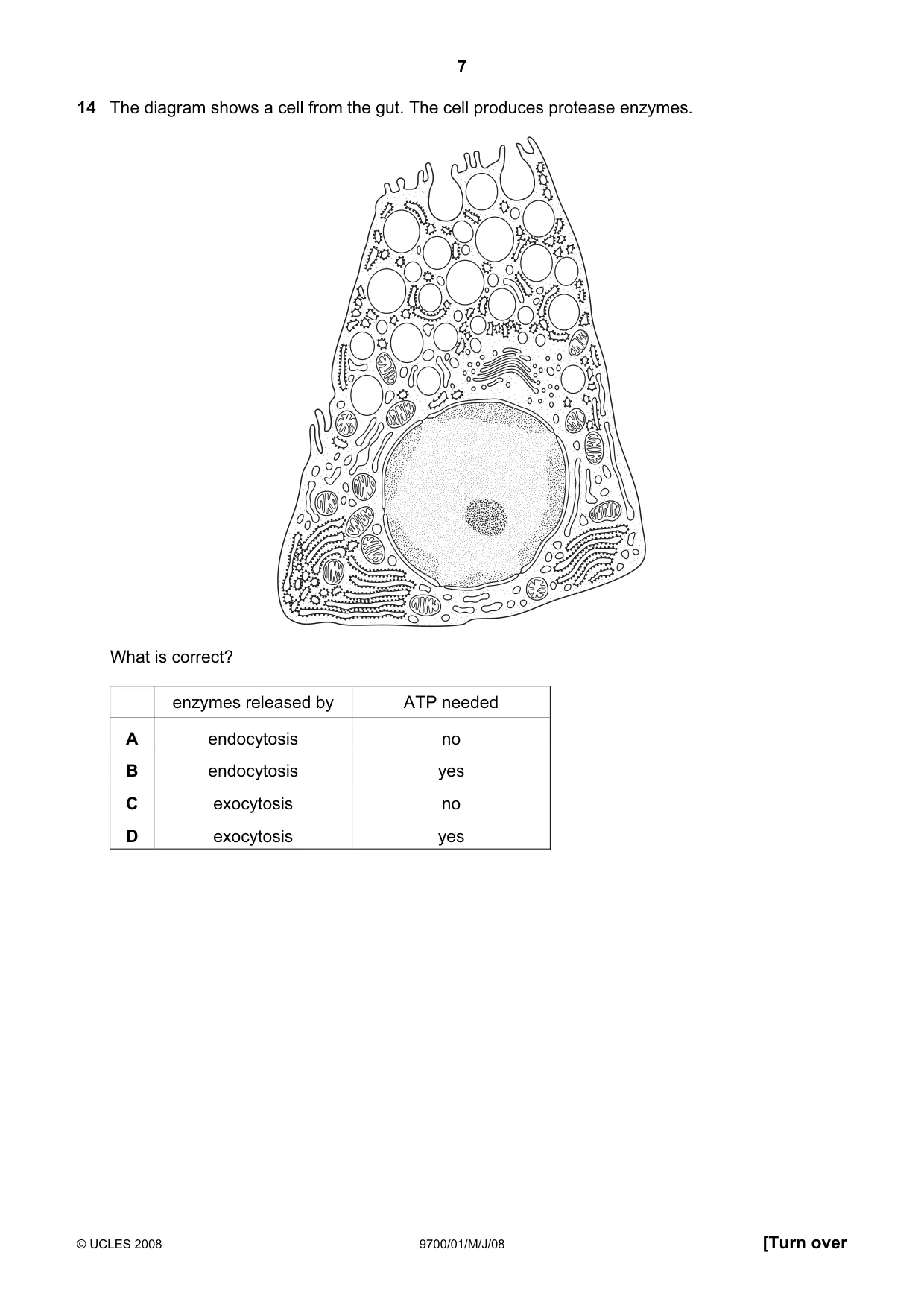Cambridge A Level Biology 9700 2008 May/June Paper 1 · Variant 1 question paper, page 7 of 20