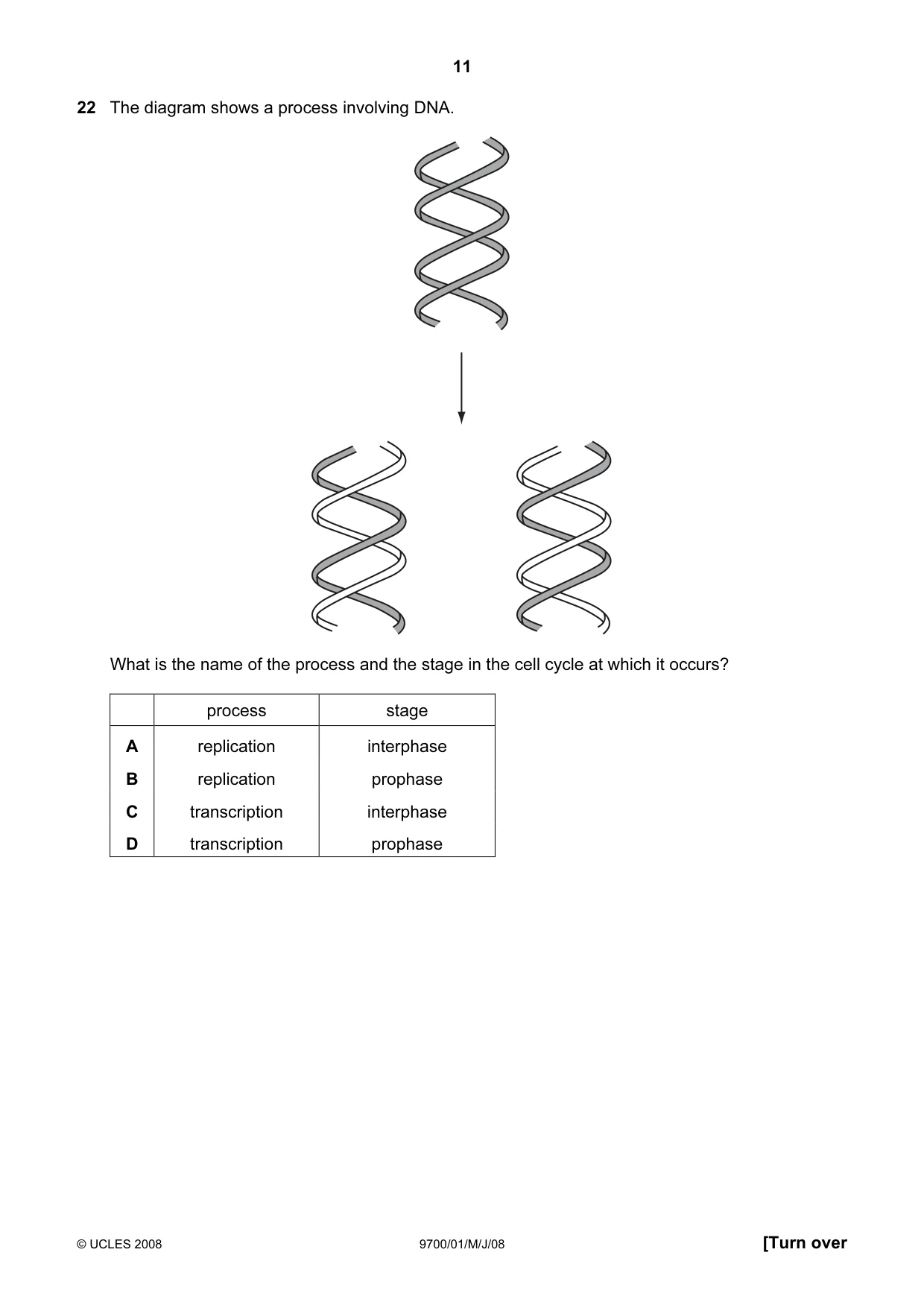Cambridge A Level Biology 9700 2008 May/June Paper 1 · Variant 1 question paper, page 11 of 20