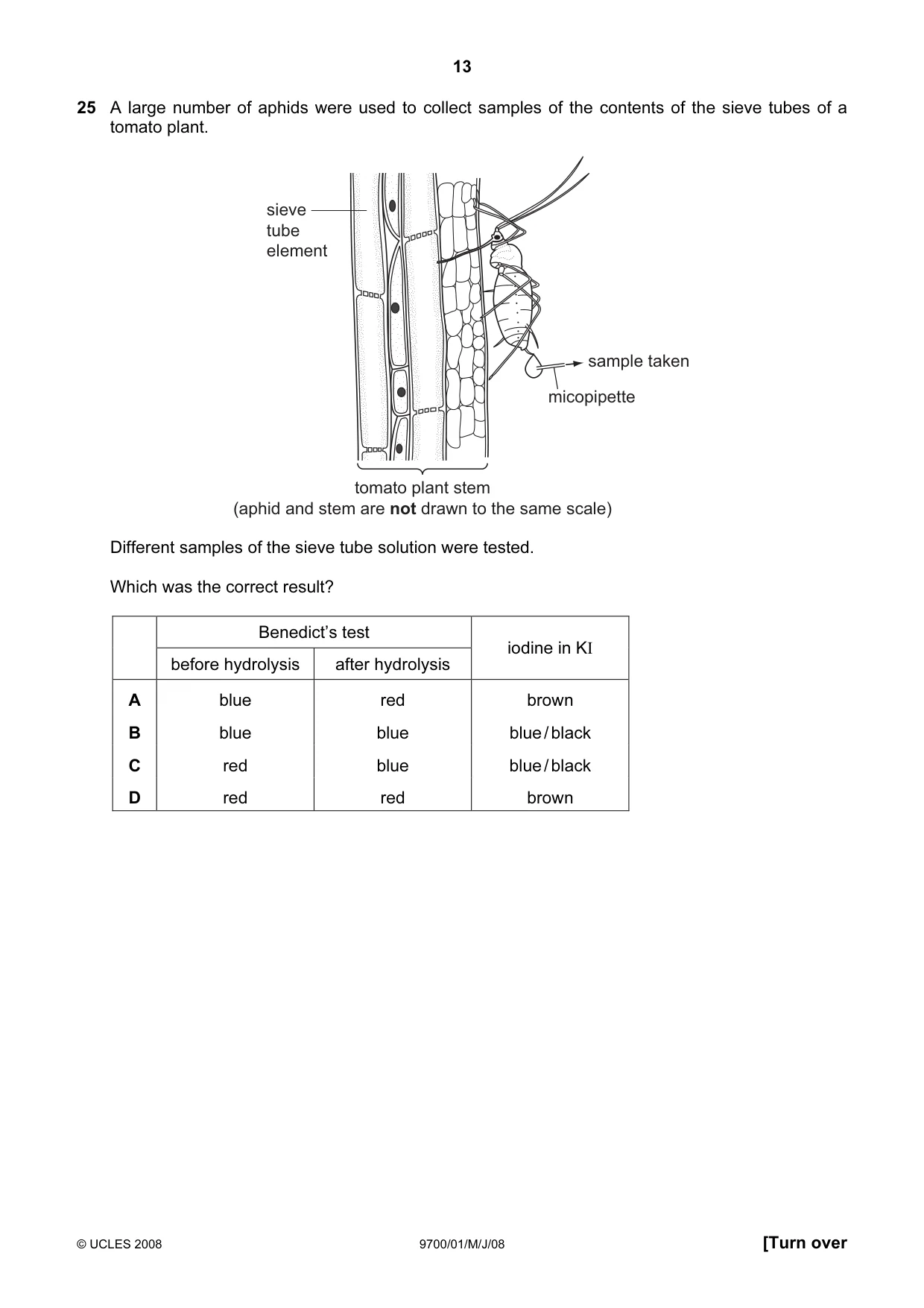 Cambridge A Level Biology 9700 2008 May/June Paper 1 · Variant 1 question paper, page 13 of 20