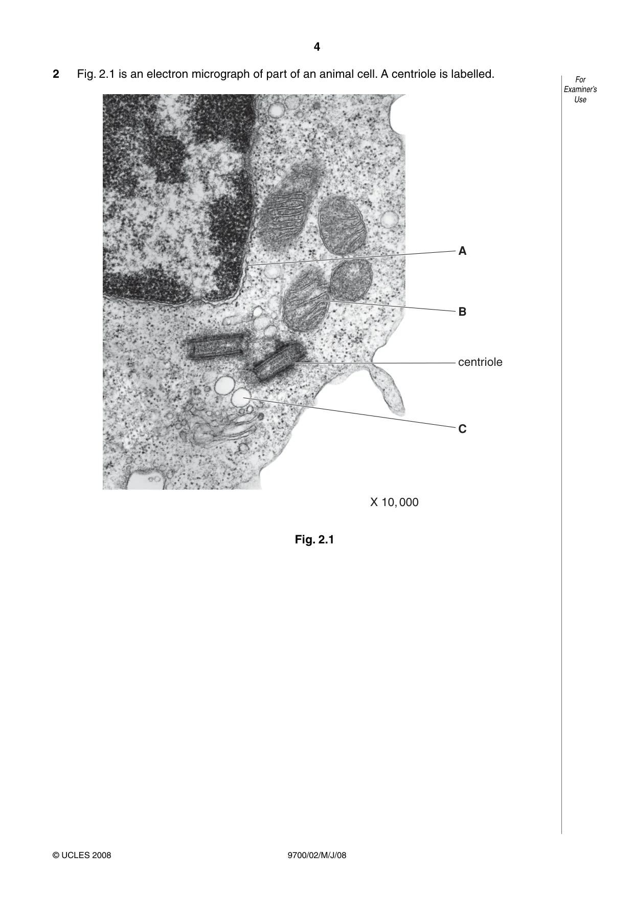 Cambridge A Level Biology 9700 2008 May/June Paper 2 · Variant 1 question paper, page 4 of 16