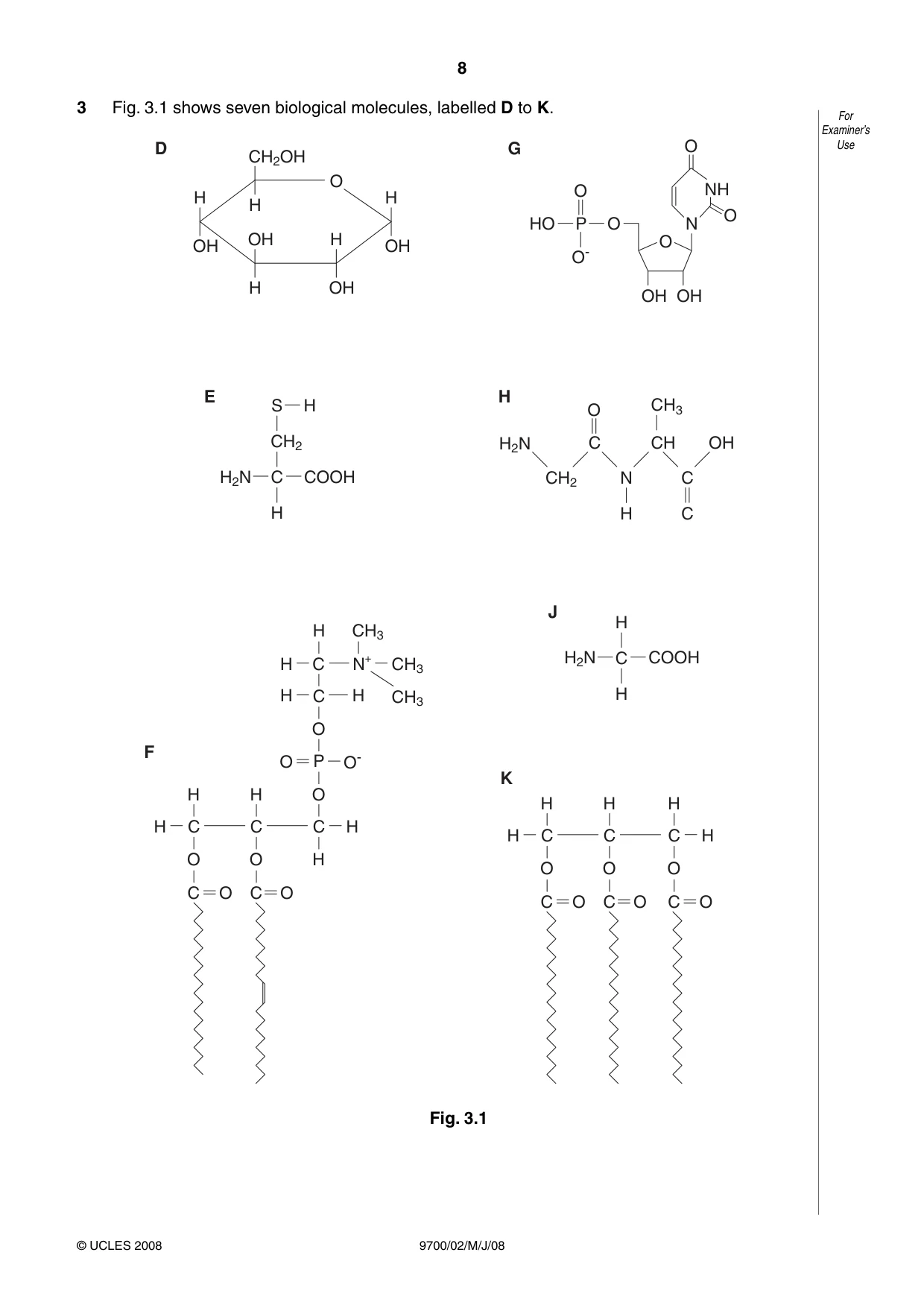 Cambridge A Level Biology 9700 2008 May/June Paper 2 · Variant 1 question paper, page 8 of 16