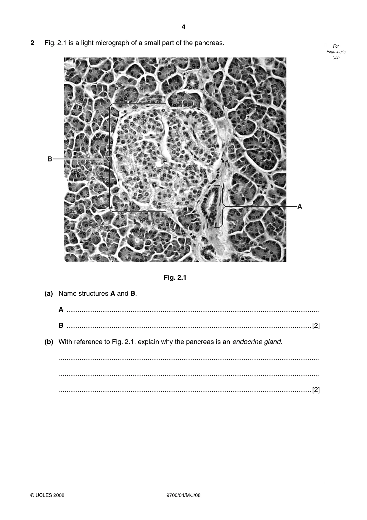 Cambridge A Level Biology 9700 2008 May/June Paper 4 · Variant 1 question paper, page 4 of 28