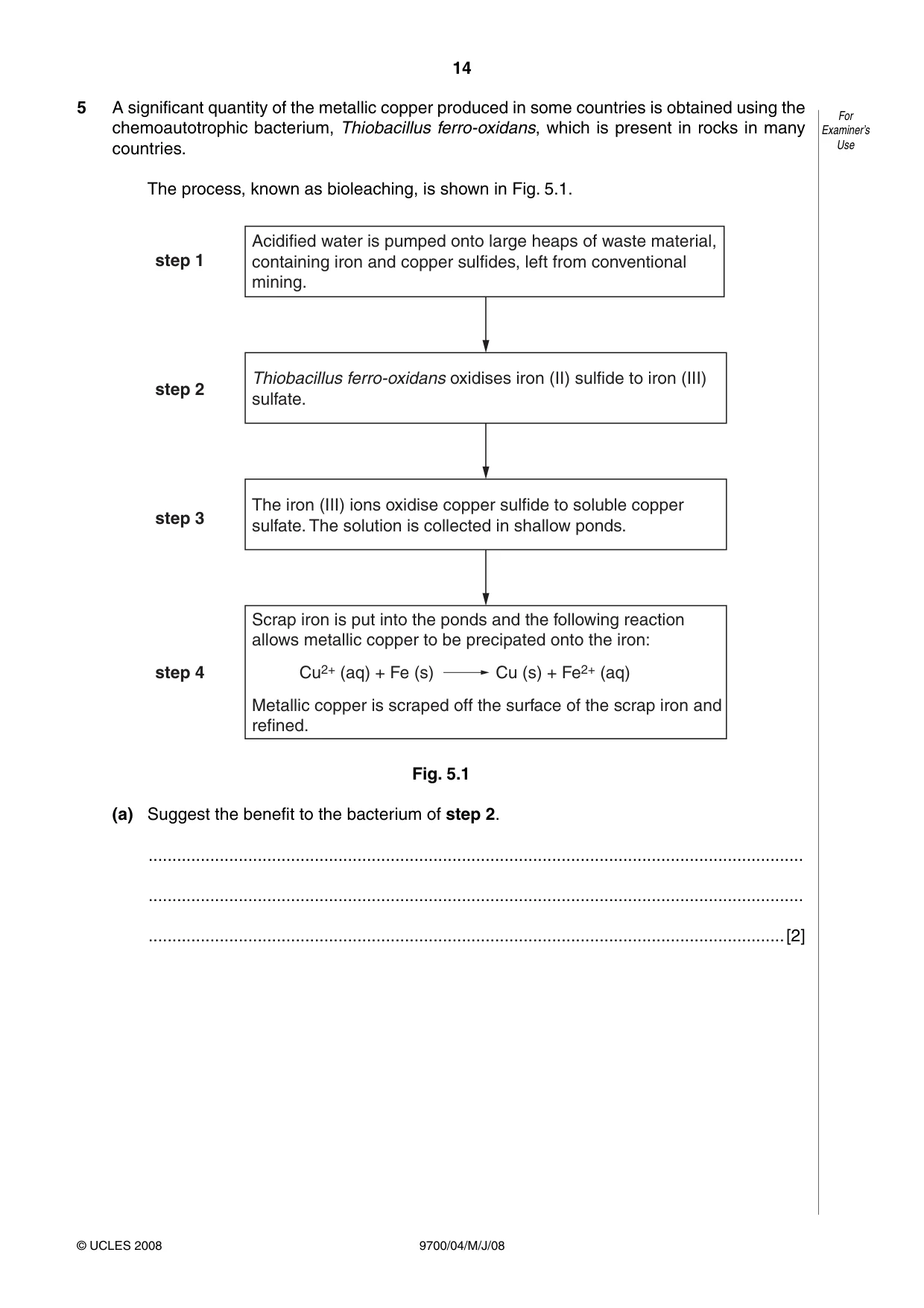 Cambridge A Level Biology 9700 2008 May/June Paper 4 · Variant 1 question paper, page 14 of 28