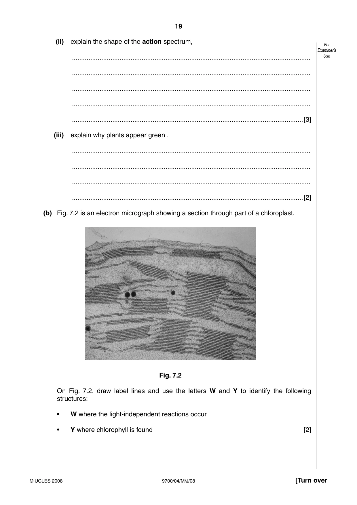 Cambridge A Level Biology 9700 2008 May/June Paper 4 · Variant 1 question paper, page 19 of 28
