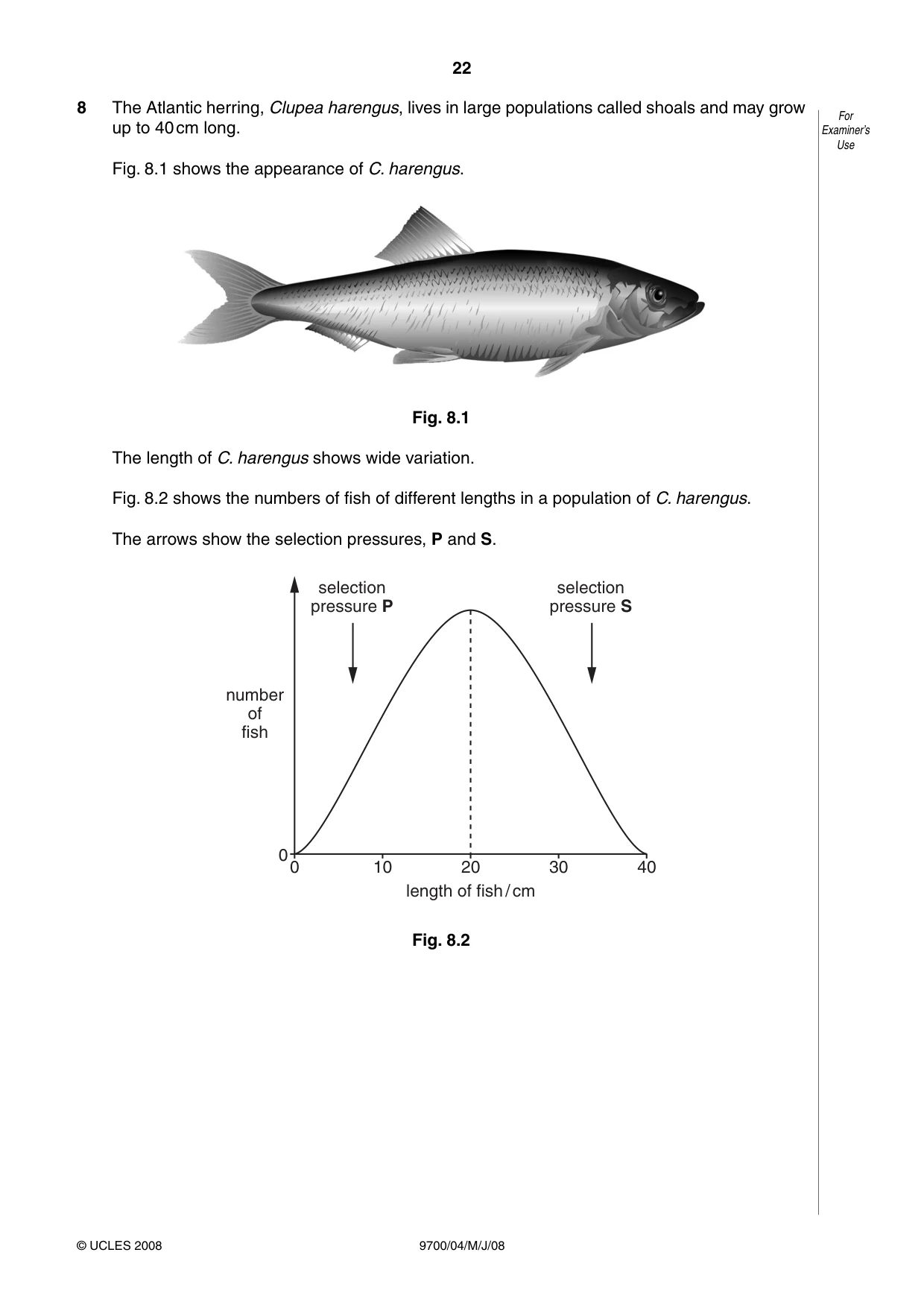 Cambridge A Level Biology 9700 2008 May/June Paper 4 · Variant 1 question paper, page 22 of 28