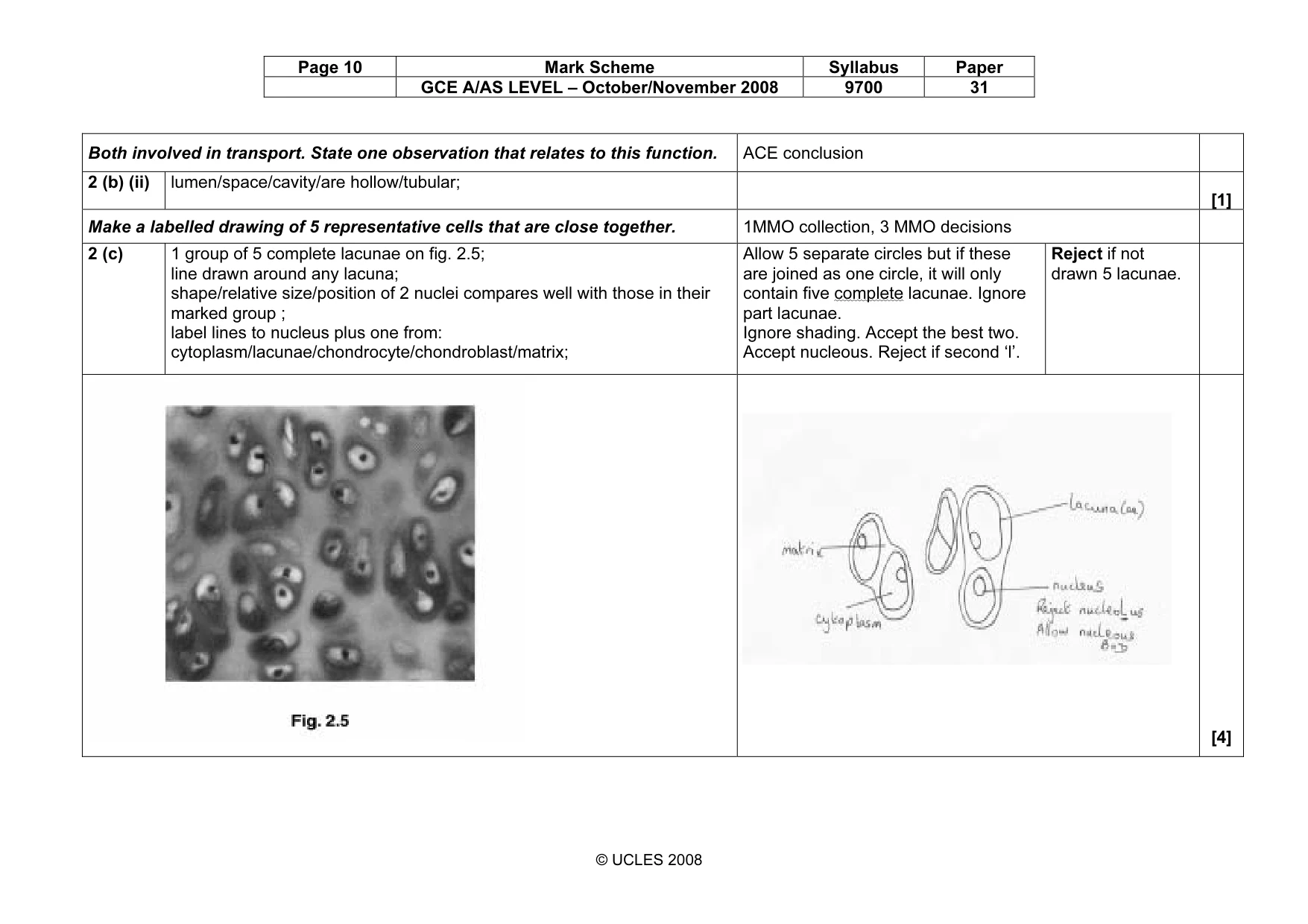 Mark scheme, page 10 of 10
