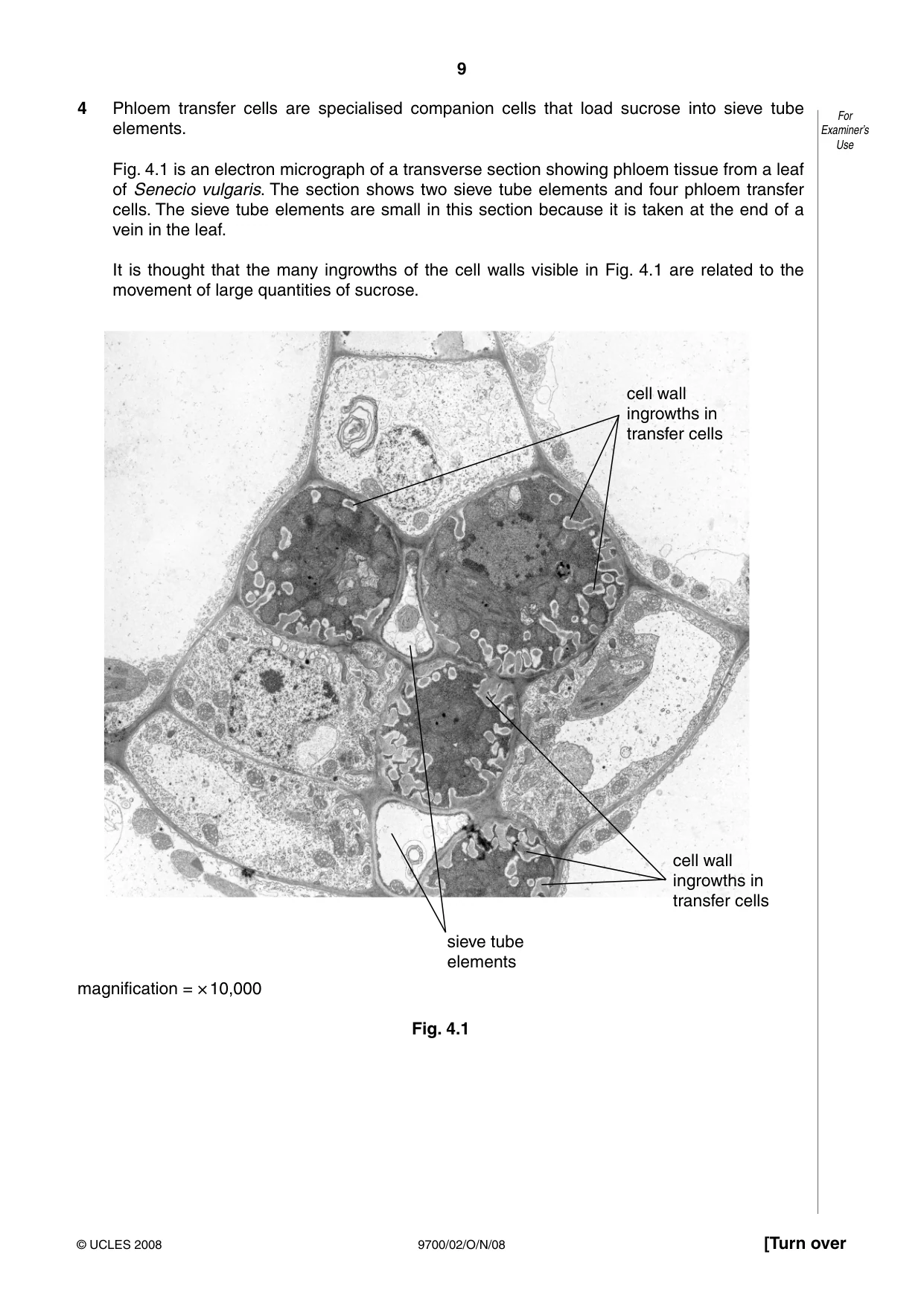 Cambridge A Level Biology 9700 2008 Oct/Nov Paper 2 · Variant 1 question paper, page 22 of 29