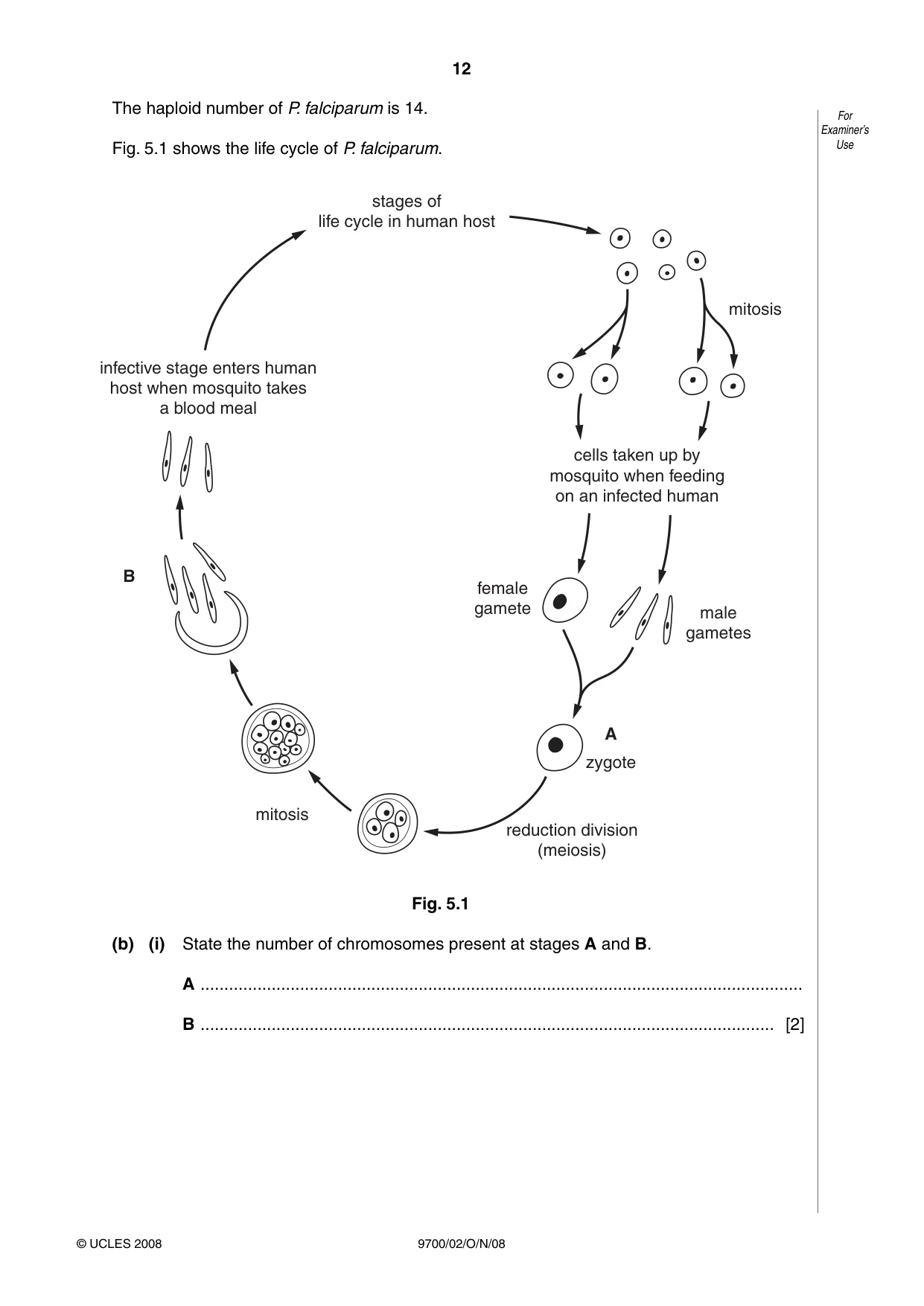 Cambridge A Level Biology 9700 2008 Oct/Nov Paper 2 · Variant 1 question paper, page 25 of 29