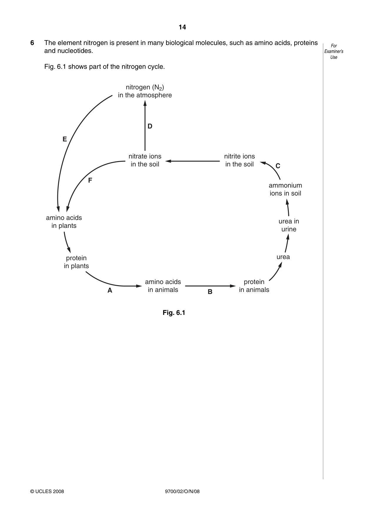 Cambridge A Level Biology 9700 2008 Oct/Nov Paper 2 · Variant 1 question paper, page 27 of 29