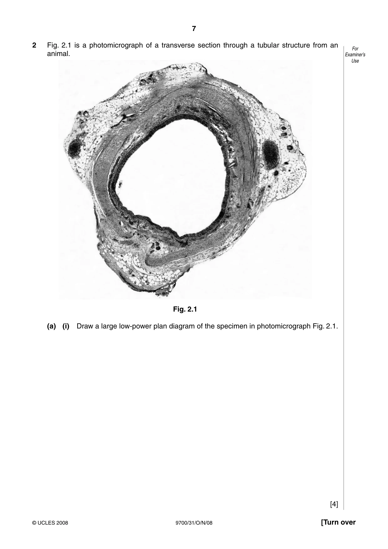 Cambridge A Level Biology 9700 2008 Oct/Nov Paper 3 · Variant 1 question paper, page 7 of 12