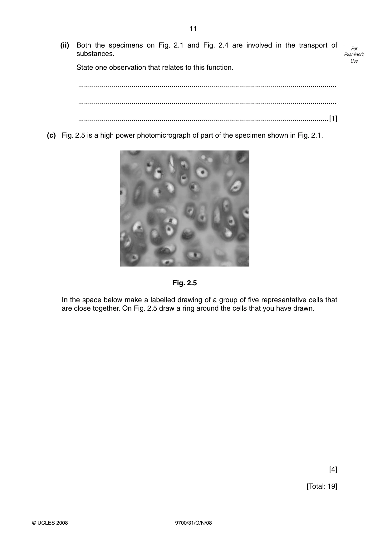 Cambridge A Level Biology 9700 2008 Oct/Nov Paper 3 · Variant 1 question paper, page 11 of 12