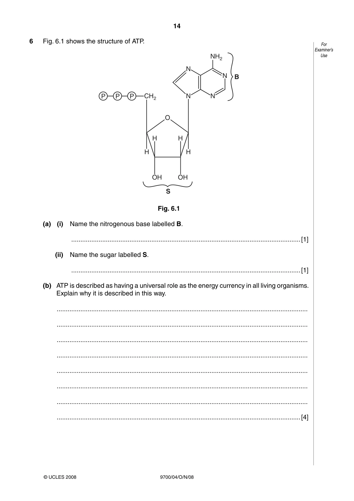 Cambridge A Level Biology 9700 2008 Oct/Nov Paper 4 · Variant 1 question paper, page 14 of 24