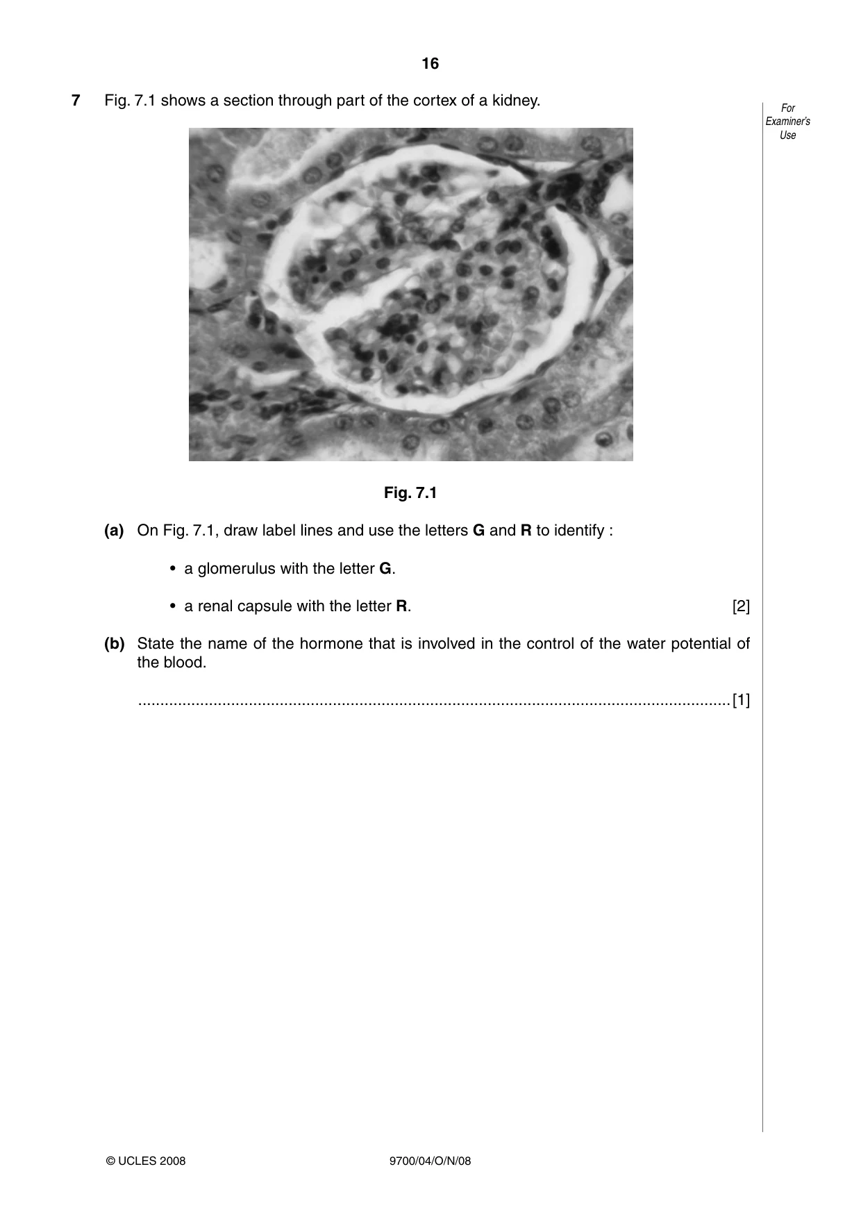 Cambridge A Level Biology 9700 2008 Oct/Nov Paper 4 · Variant 1 question paper, page 16 of 24