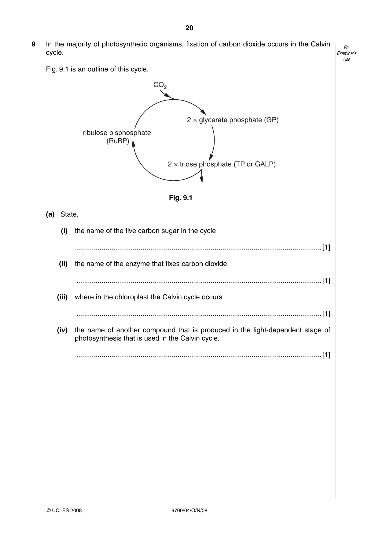 Cambridge A Level Biology 9700 2008 Oct/Nov Paper 4 · Variant 1 question paper, page 20 of 24
