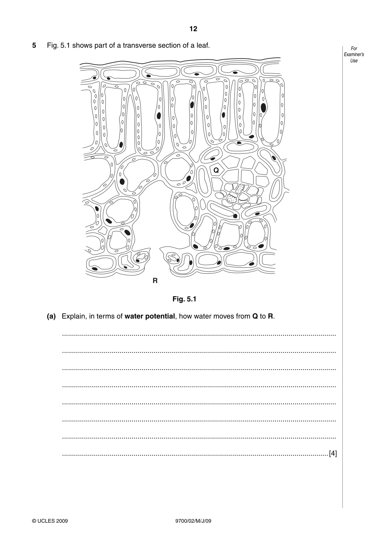 Cambridge A Level Biology 9700 2009 May/June Paper 2 · Variant 1 question paper, page 13 of 41