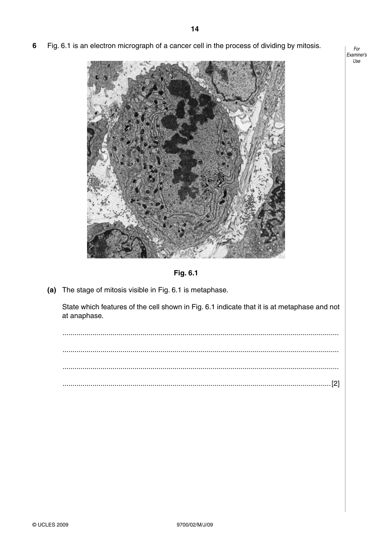 Cambridge A Level Biology 9700 2009 May/June Paper 2 · Variant 1 question paper, page 15 of 41