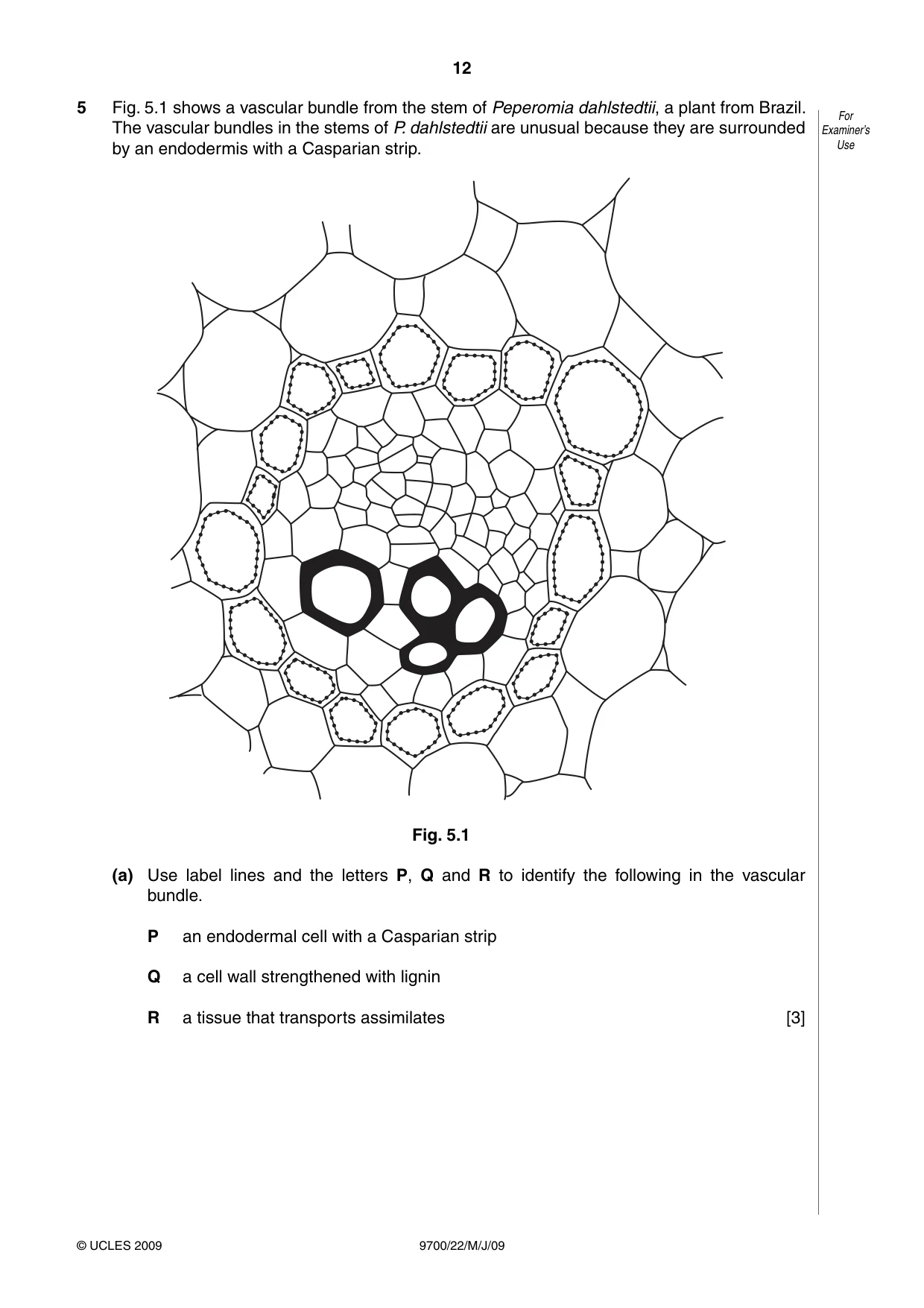 Cambridge A Level Biology 9700 2009 May/June Paper 2 · Variant 1 question paper, page 33 of 41