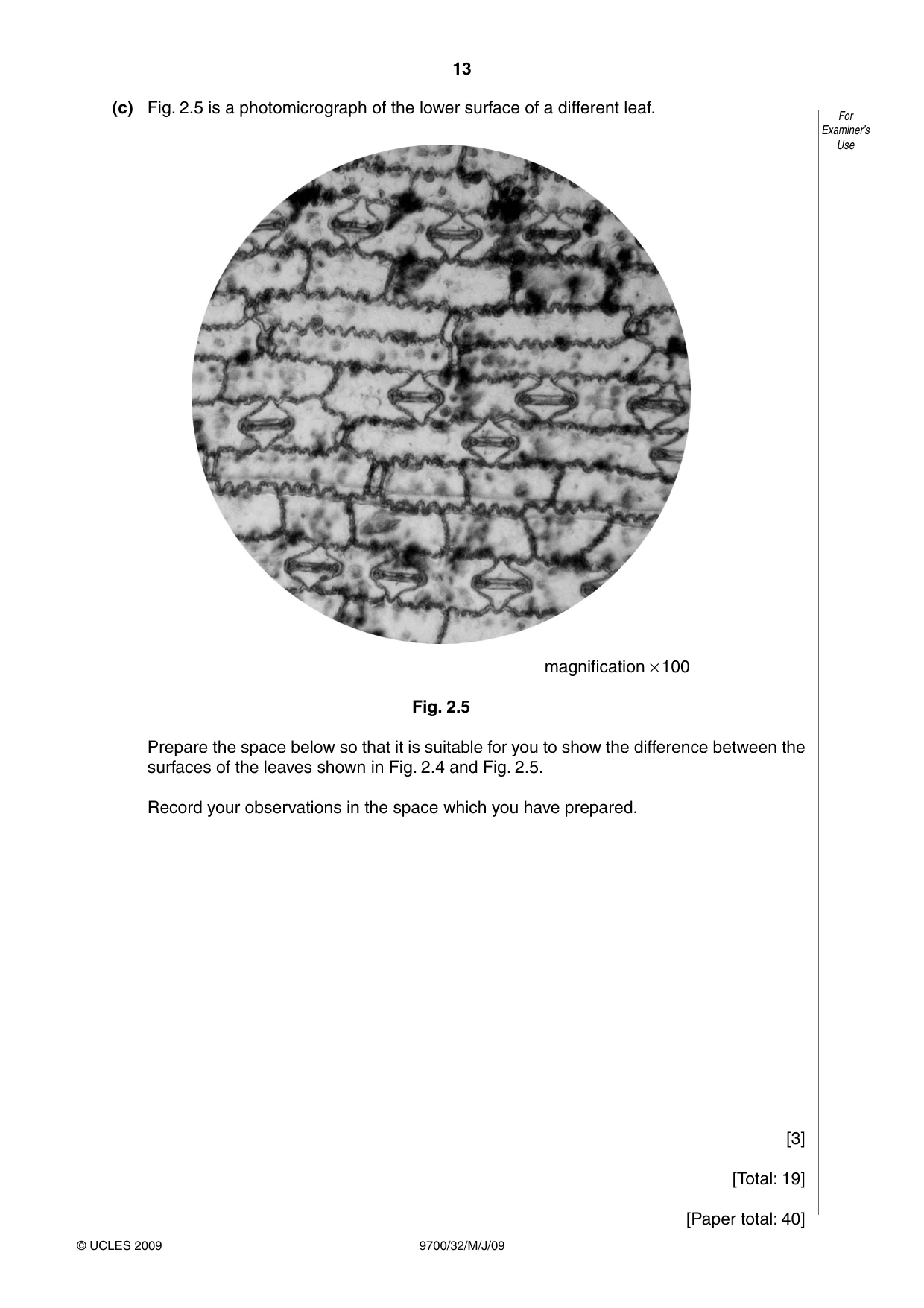 Cambridge A Level Biology 9700 2009 May/June Paper 3 · Variant 2 question paper, page 13 of 16