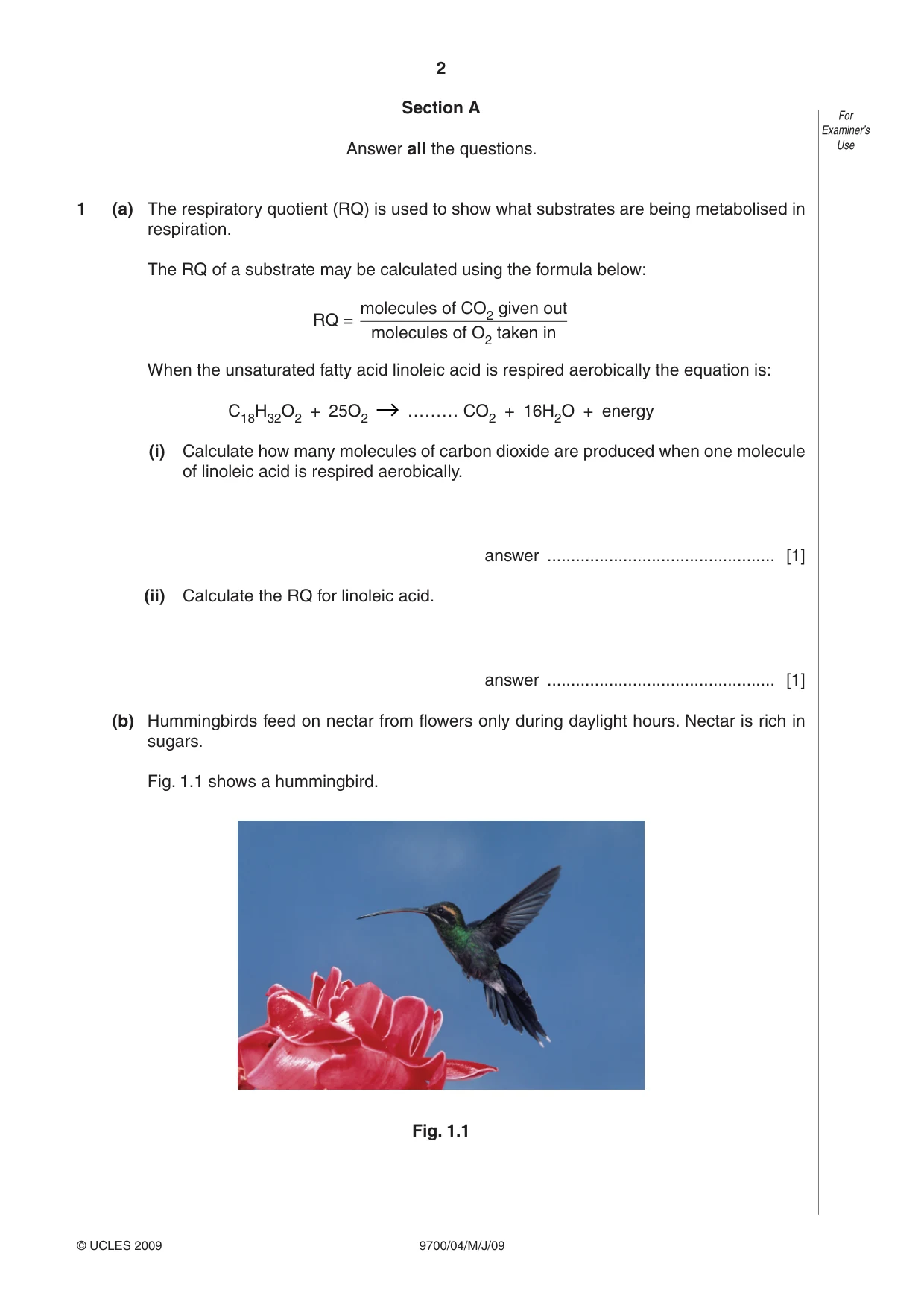 Cambridge A Level Biology 9700 2009 May/June Paper 4 · Variant 1 question paper, page 2 of 24