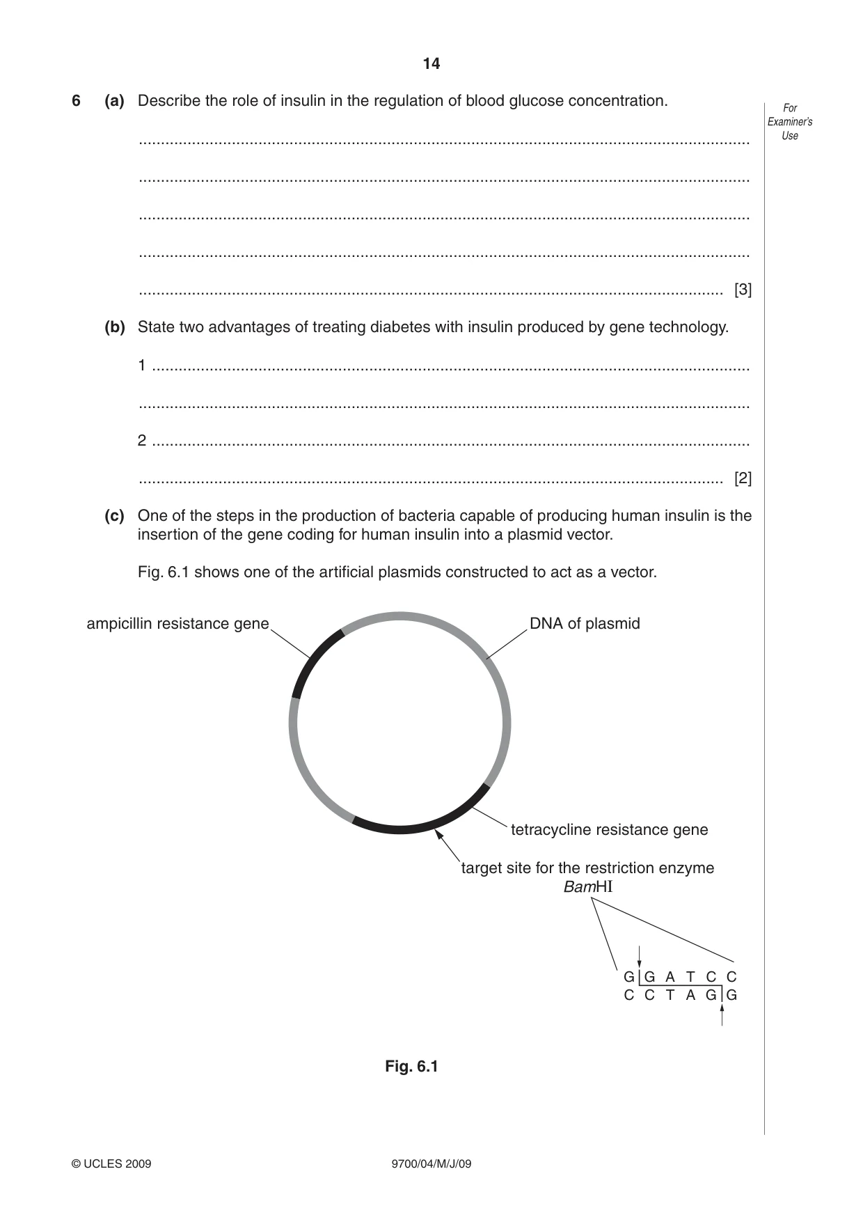 Cambridge A Level Biology 9700 2009 May/June Paper 4 · Variant 1 question paper, page 14 of 24