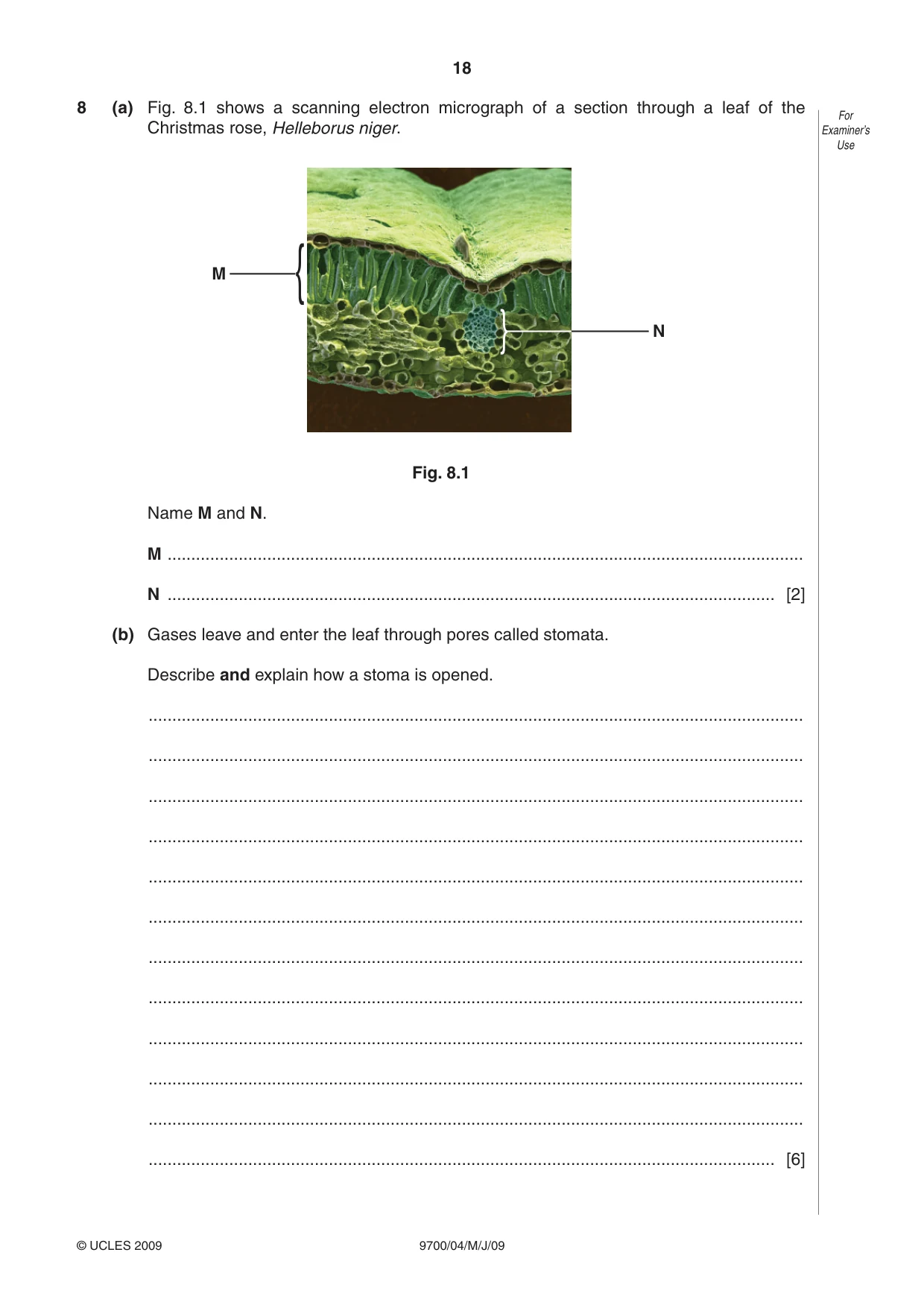 Cambridge A Level Biology 9700 2009 May/June Paper 4 · Variant 1 question paper, page 18 of 24