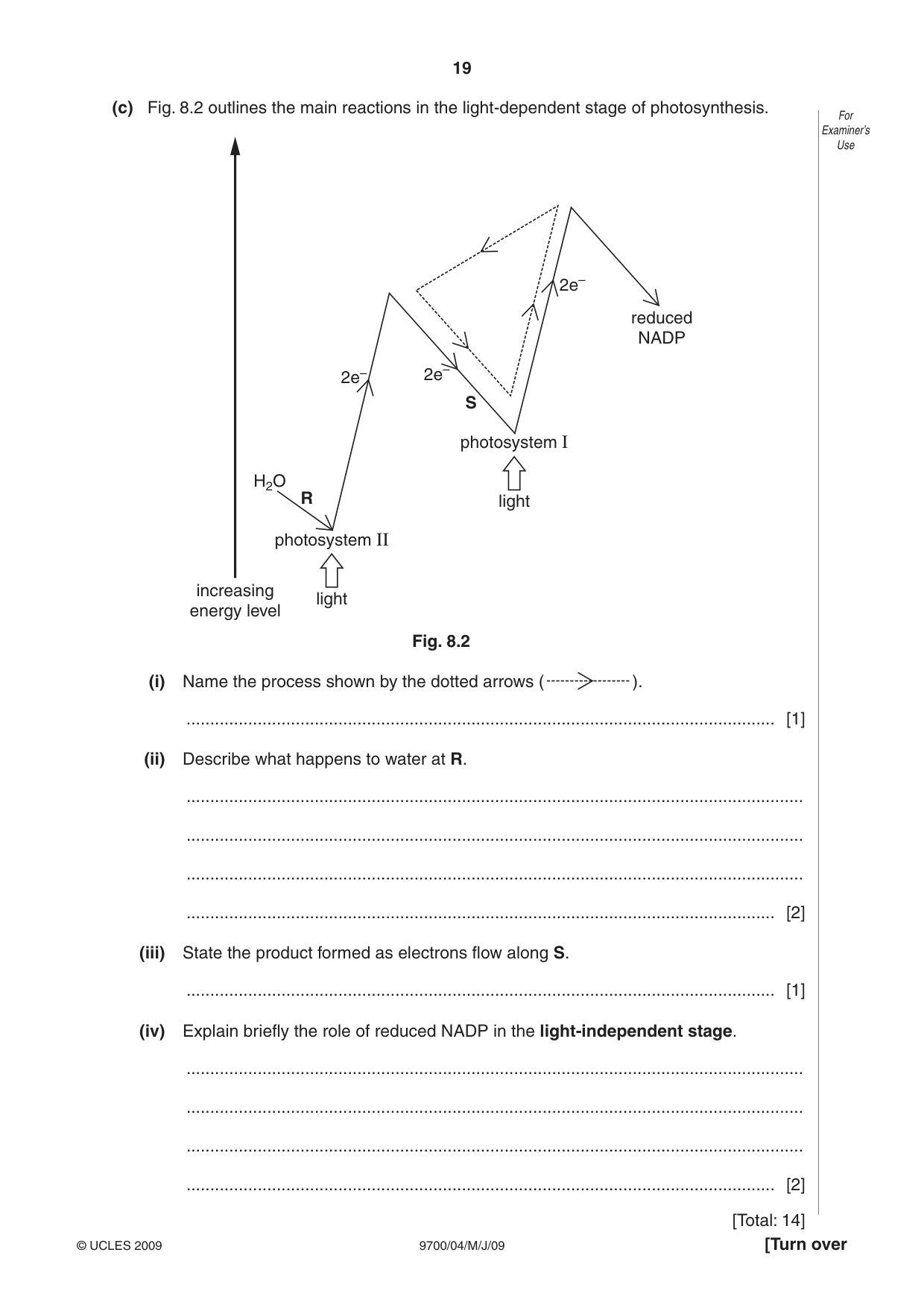 Cambridge A Level Biology 9700 2009 May/June Paper 4 · Variant 1 question paper, page 19 of 24