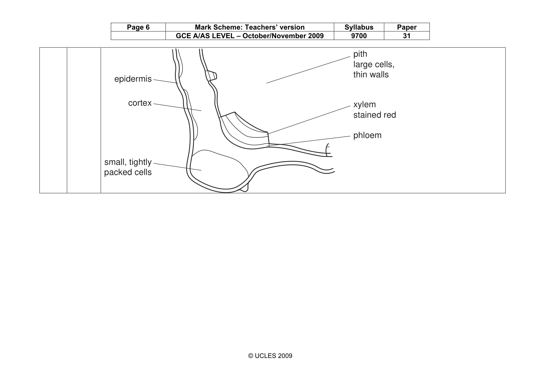 Mark scheme, page 6 of 10